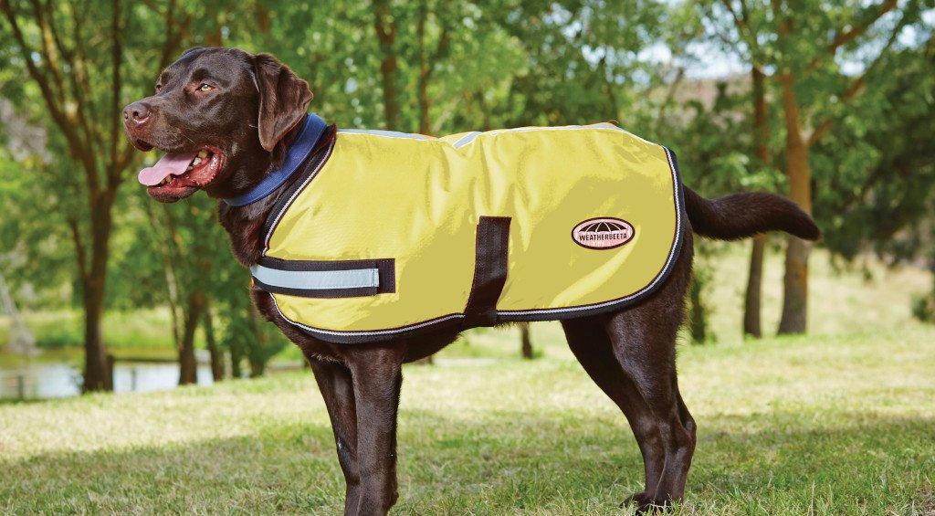 WeatherBeetaReflective Dog Rug