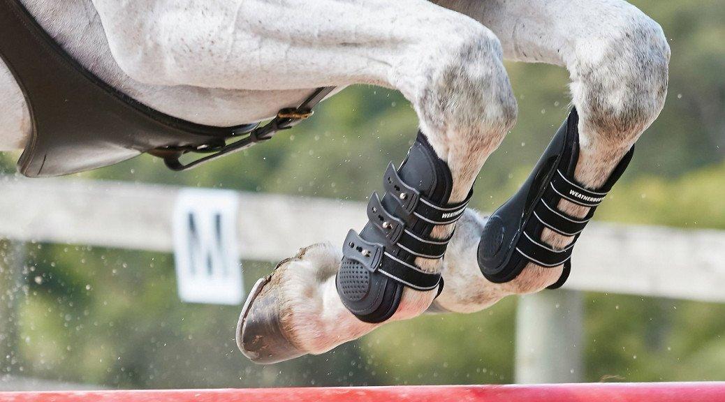 best riding boots for jumping