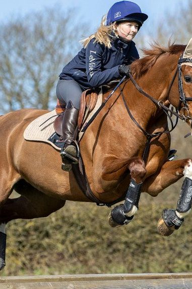 Horse Boots For Every Occasion – Which Boot Is Best?
