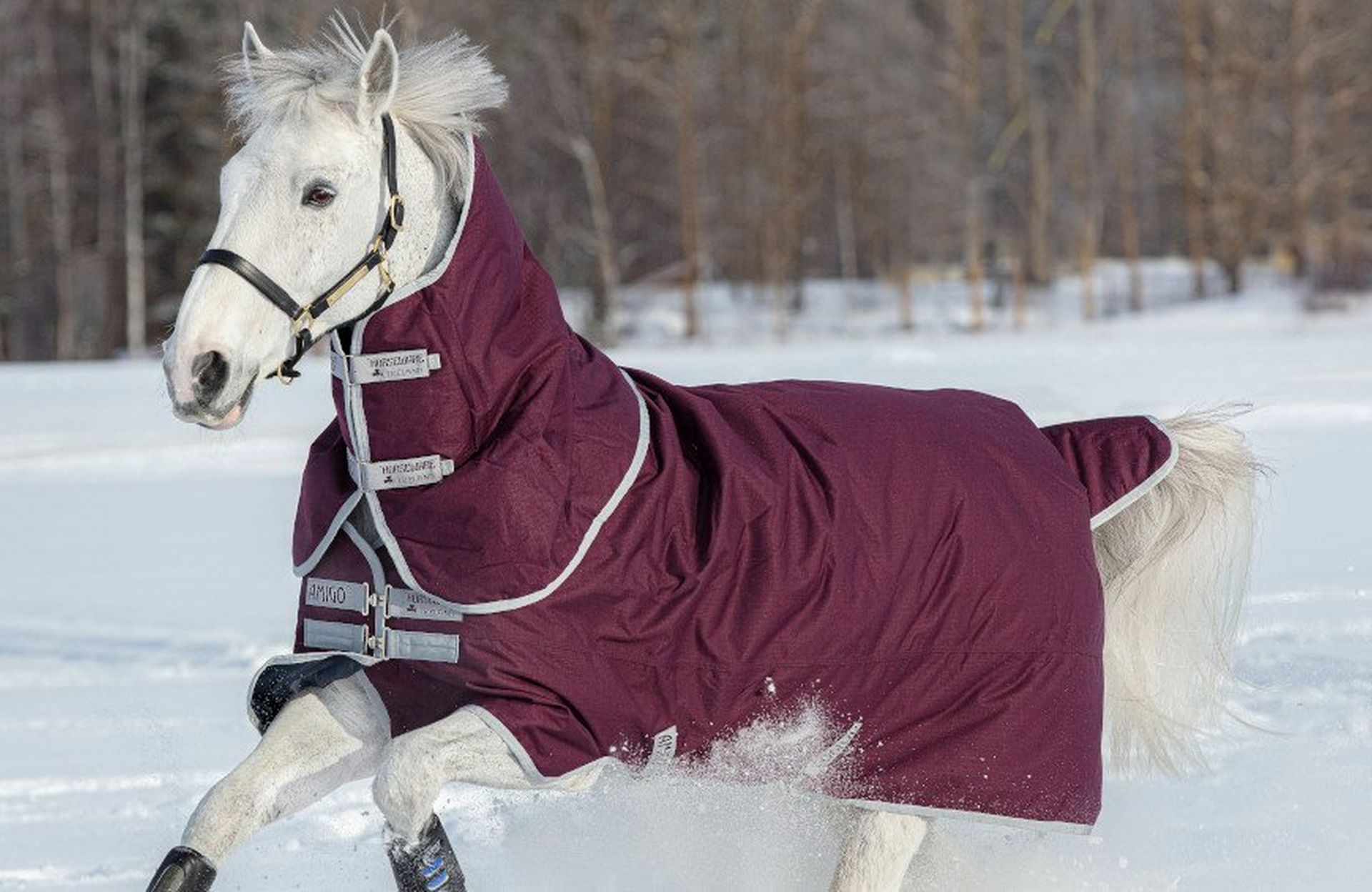 Horse Rugs – 4 Features To Make Your Life Easier