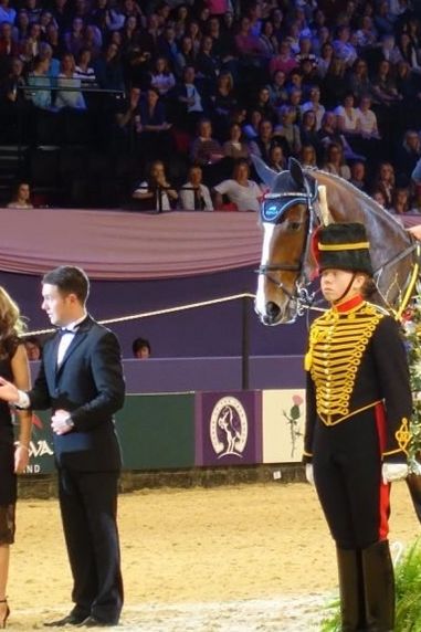HOYS 2017 – Naylors Equestrian Puissance Results