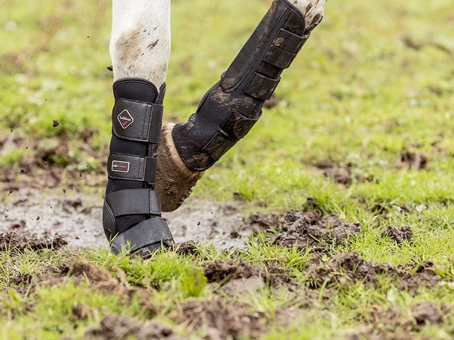 Our Guide To Mud Fever
