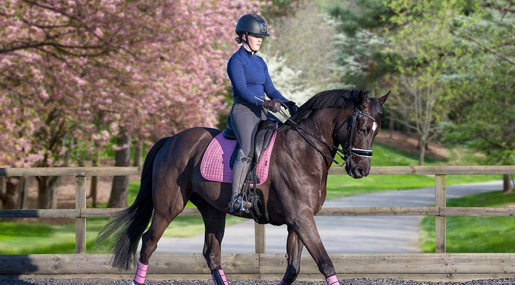 All New LeMieux Colours For Spring Nayloes Blog Naylors