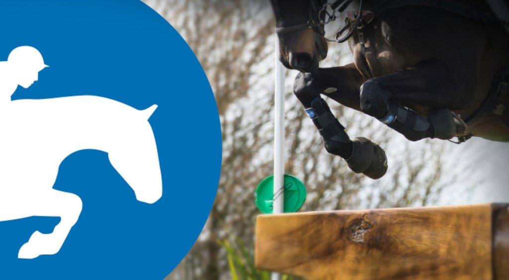 Why Your Horse Needs A Prolite Girth Naylors Blog Naylors