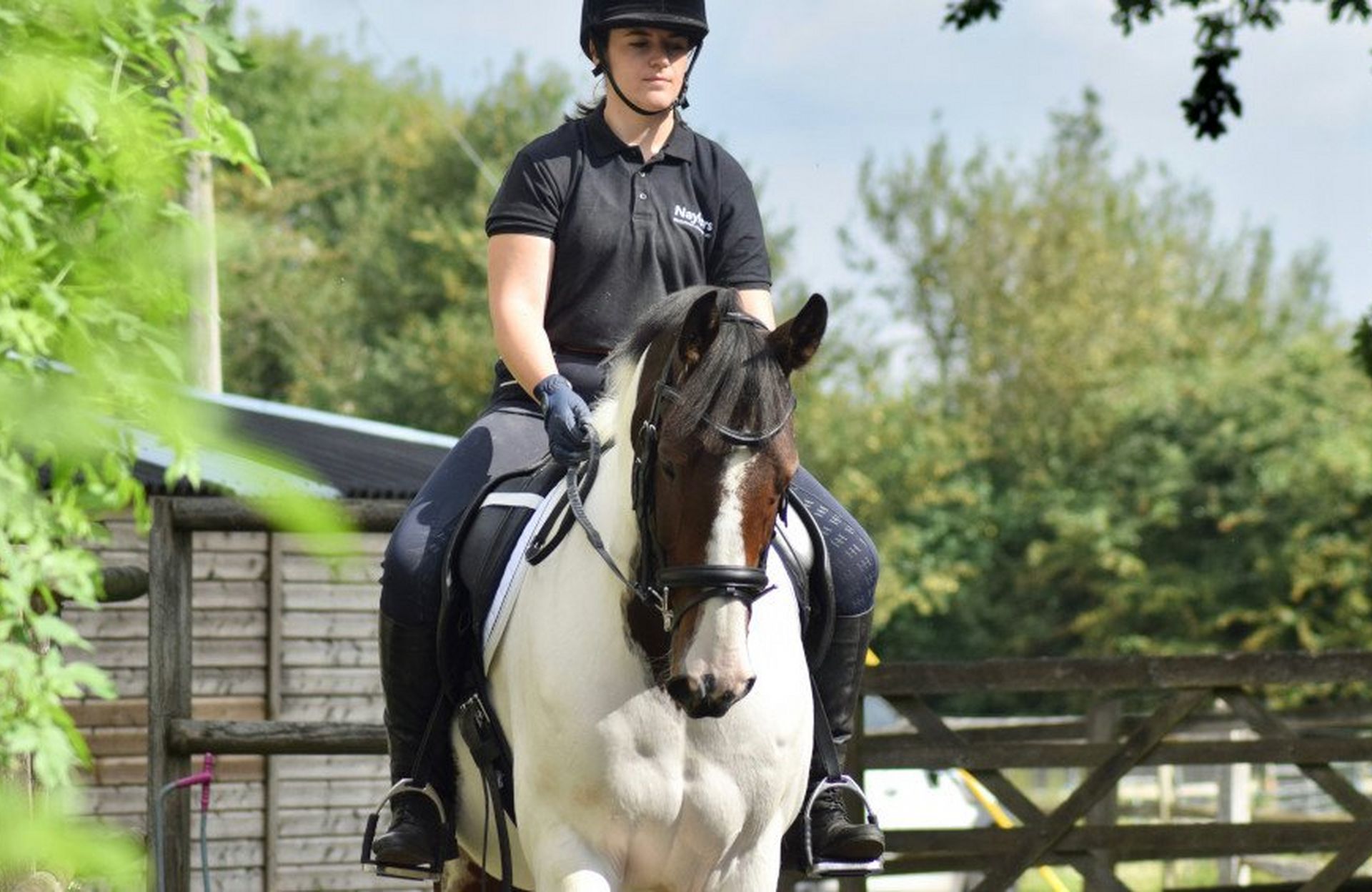 Shires Velociti Dressage Bridle – Reviewed By Rhi!