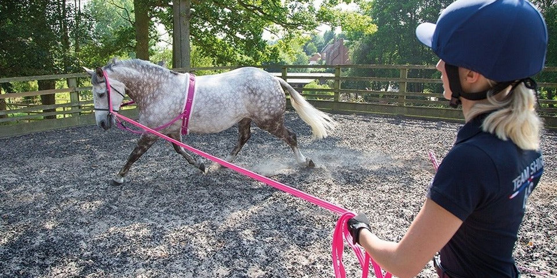 Side Reins - The Truth About Training Aids