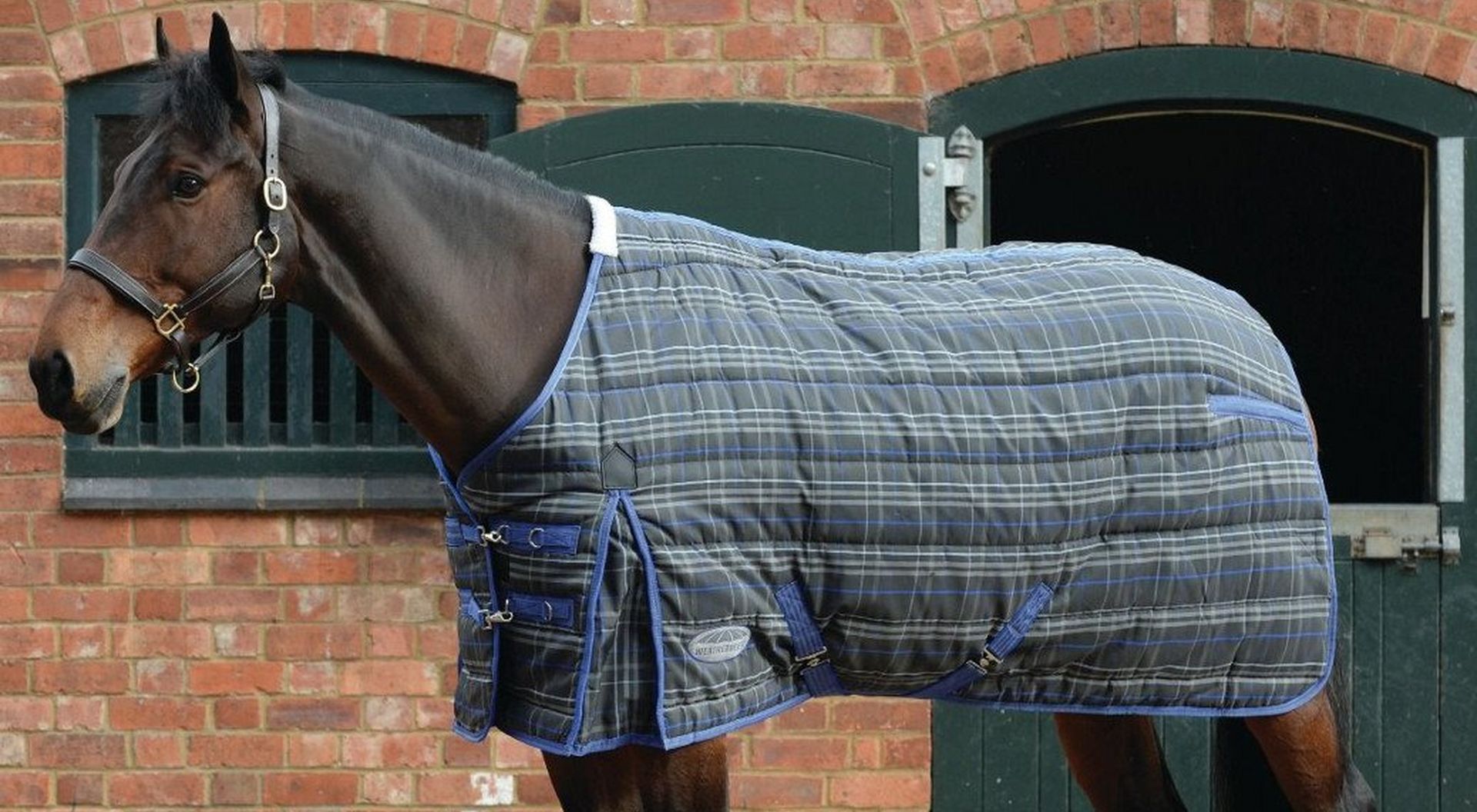 Why You Need One Of These Stable Rugs This Winter!