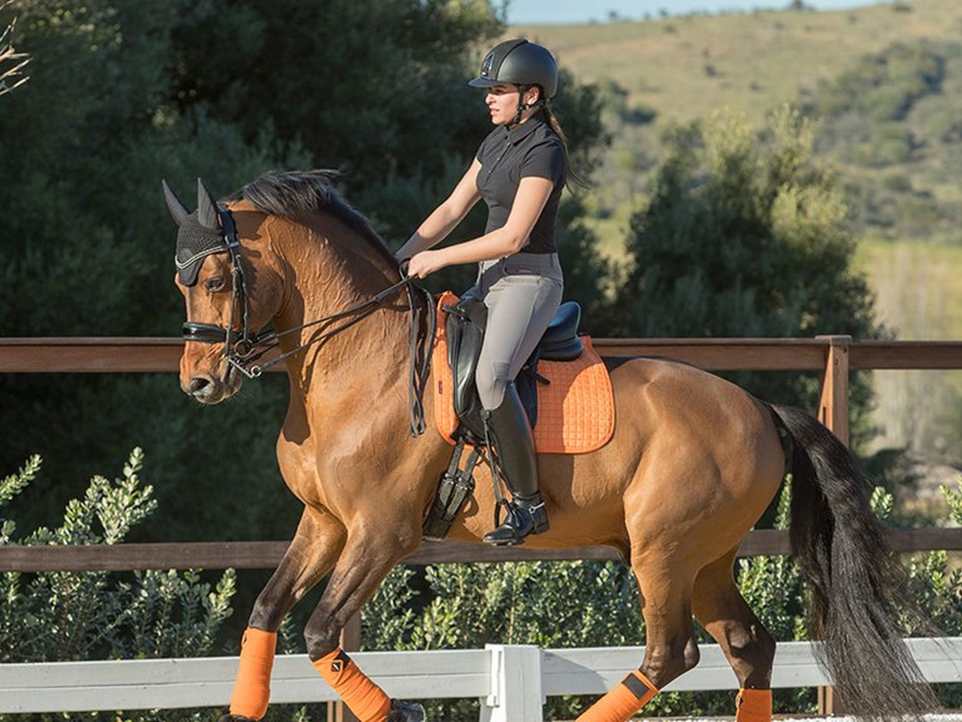 What To Wear Horseback Riding: Do's, Don'ts for Style & Function!   Horseback riding outfits, Horse riding outfit, Horse riding clothes