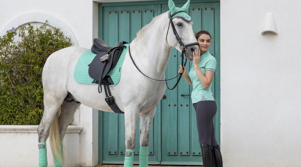 The New LeMieux Colour Collection Coming Soon! Naylors Blog Naylors