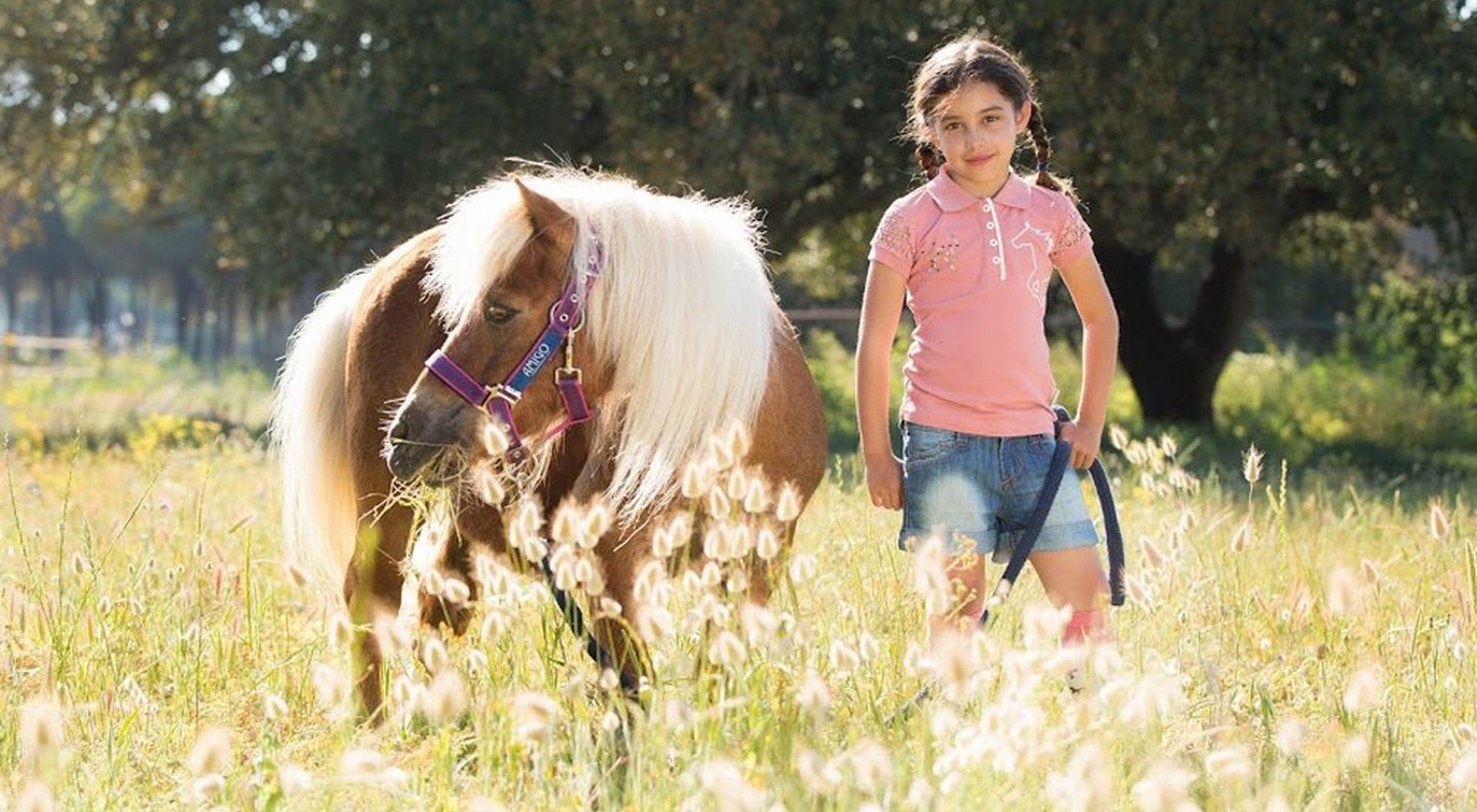Things To Do With Your Pony In The School Holidays