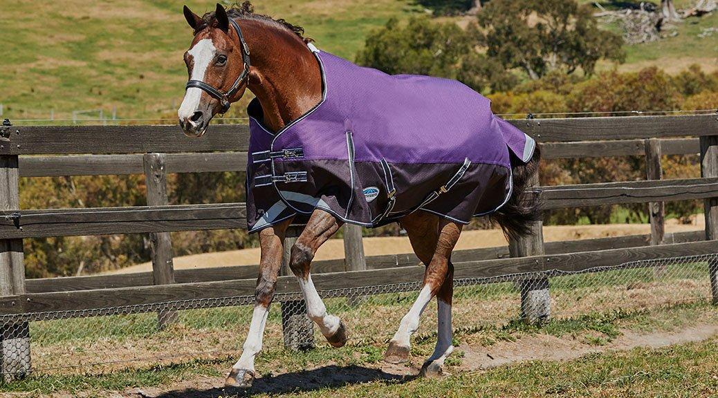 WeatherBeeta Rugs Our Guide Naylors Blog Naylors