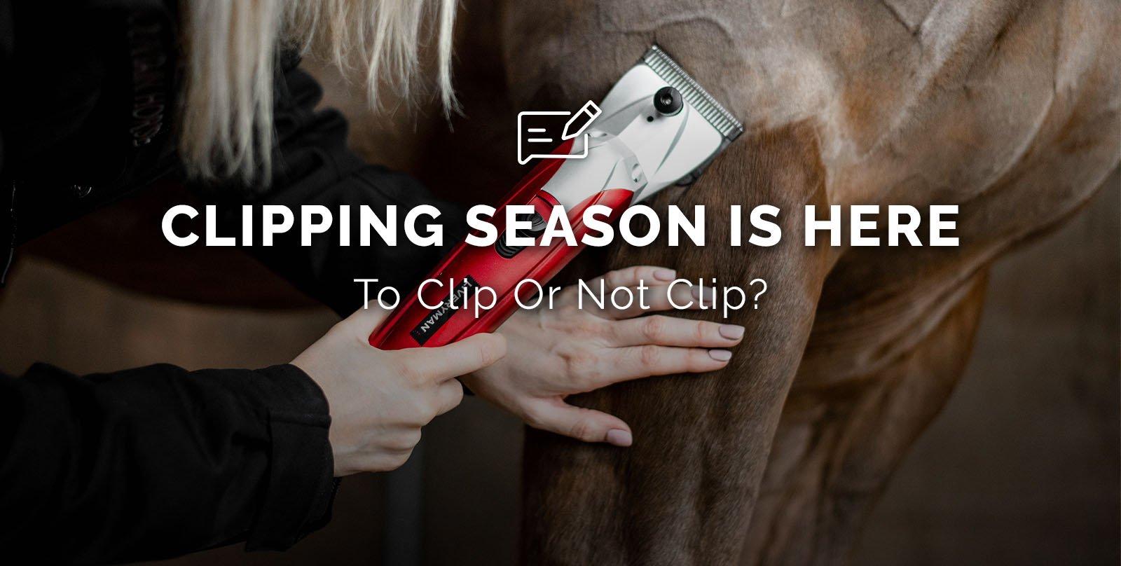 Clipping Blog > READ MORE