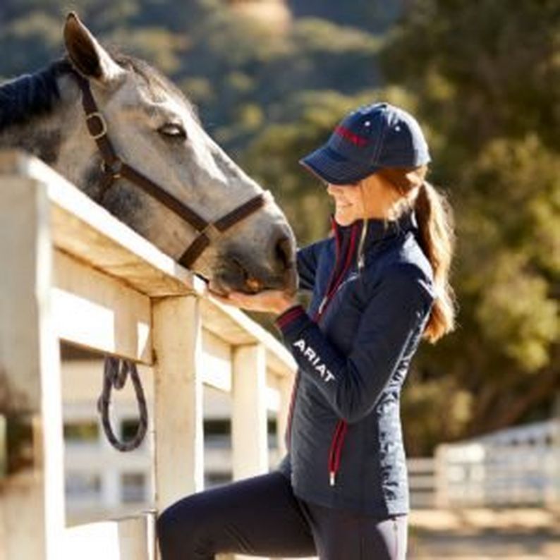 Ariat Training Collection - Ladies Training Hybrid Insulated Jacket