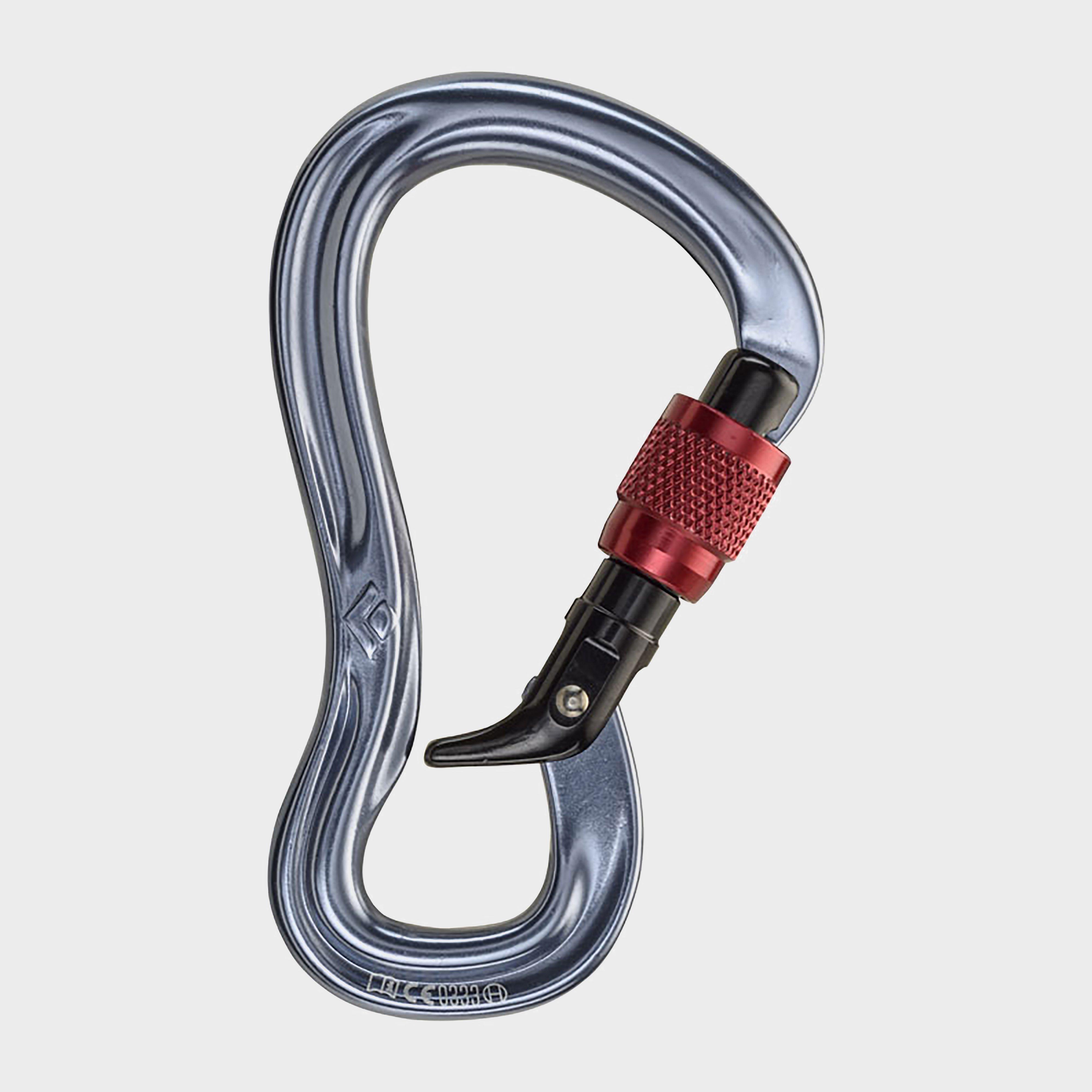 Image of Black Diamond Gridlock Screwgate Carabiner - Sliver, Sliver