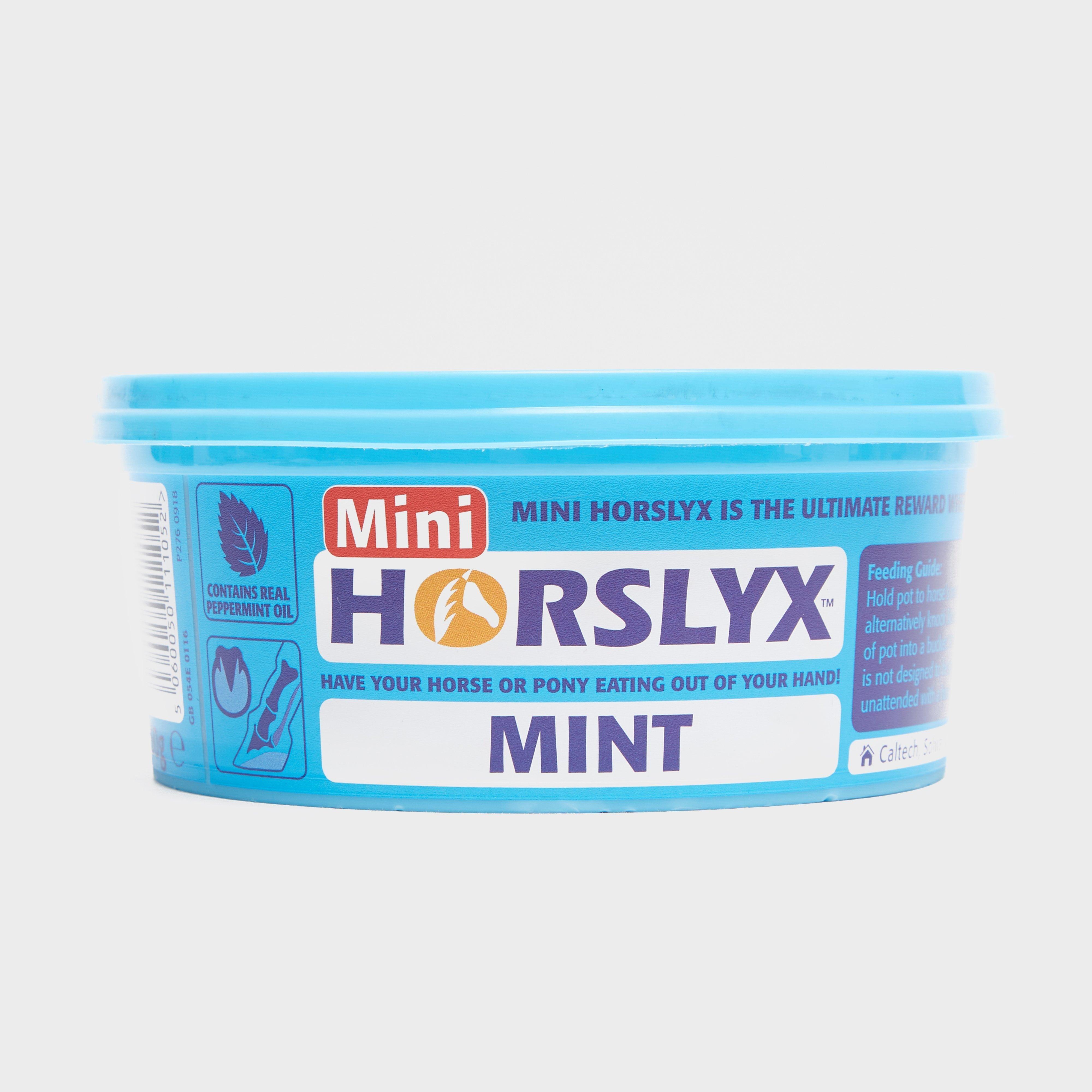 Image of Horslyx Mini Licks (Mint), MINT