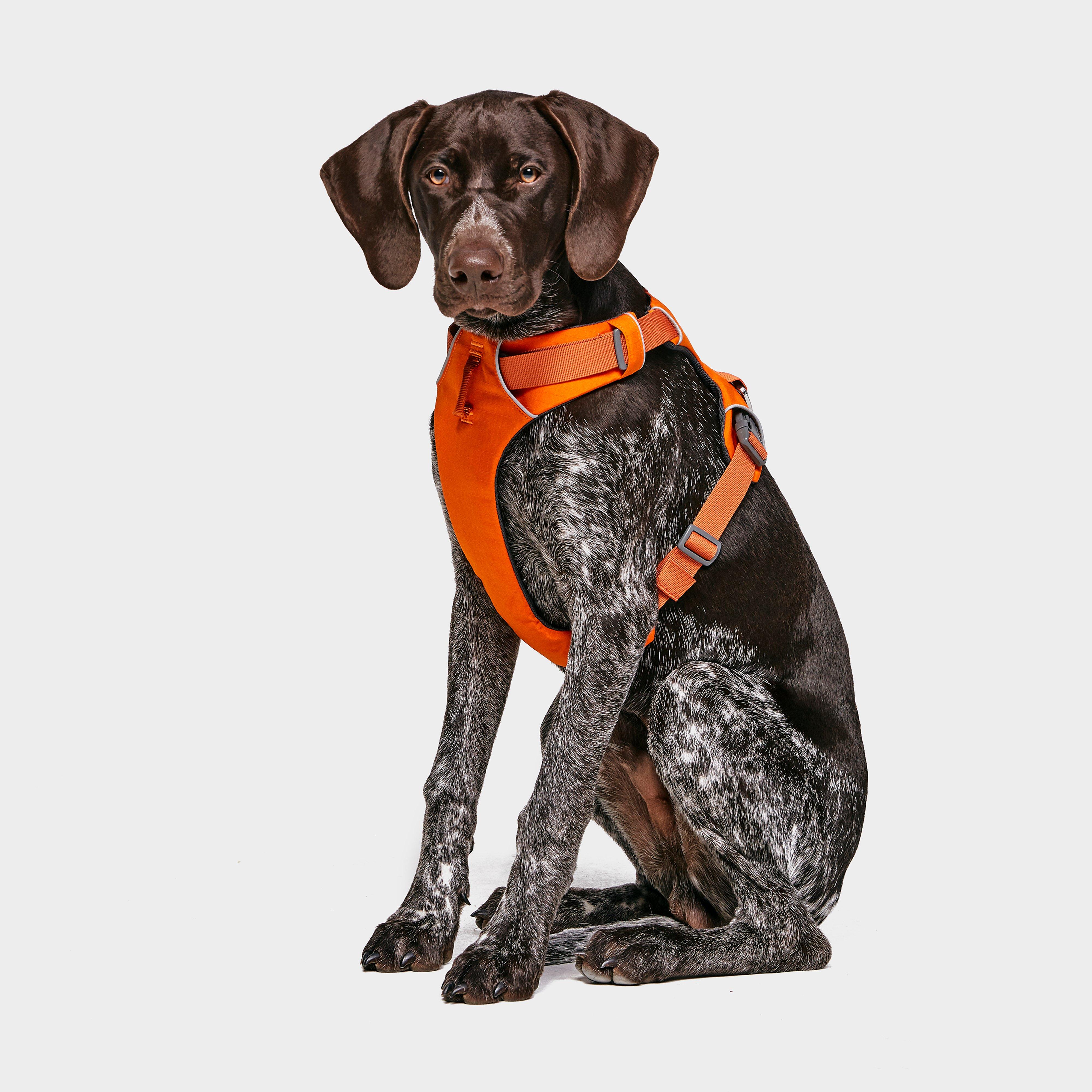 Ruffwear Ruffwear Front Range™ Dog Harness - Org, ORG
