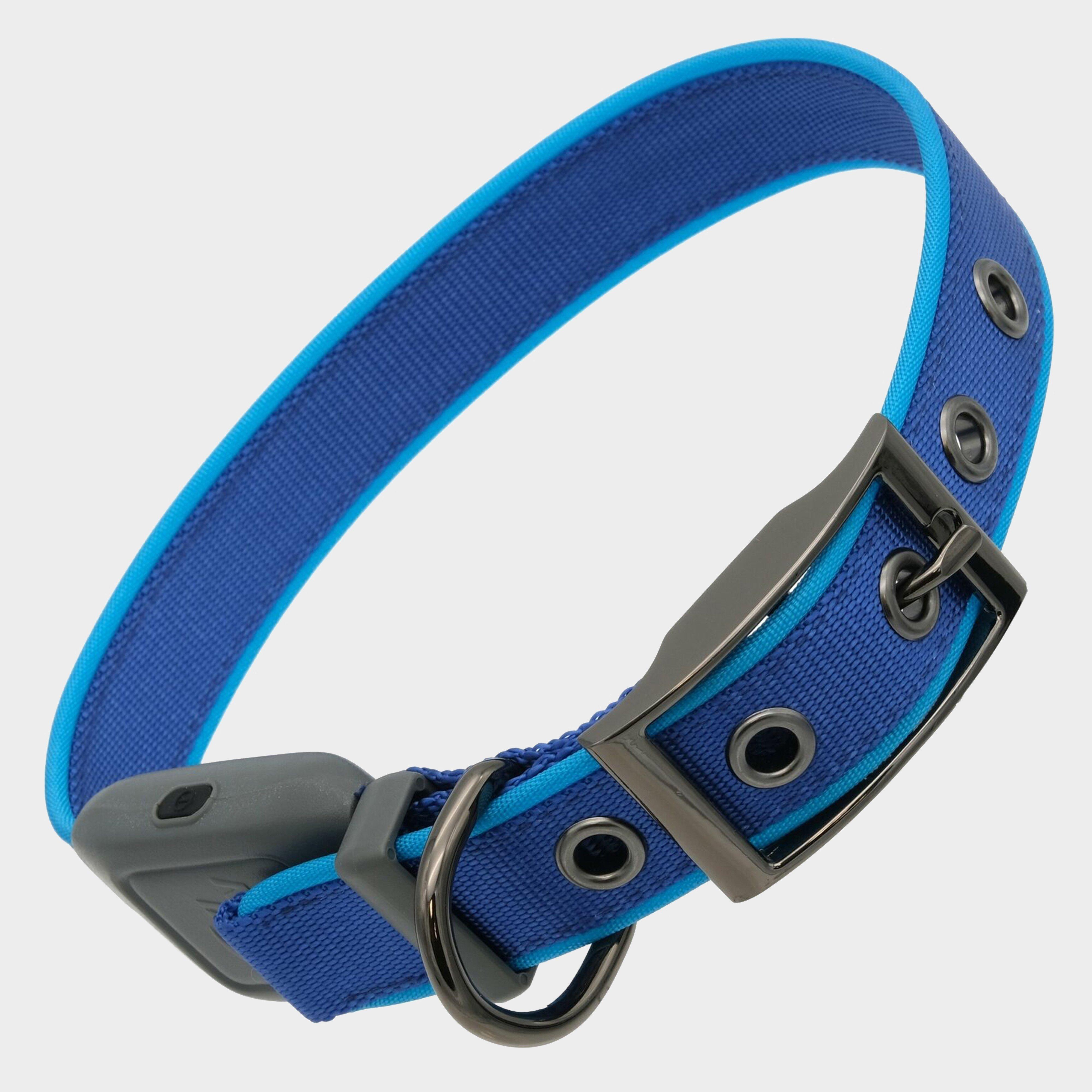 Nitedog Rechargeable Collar Medium, Blue from Blacks