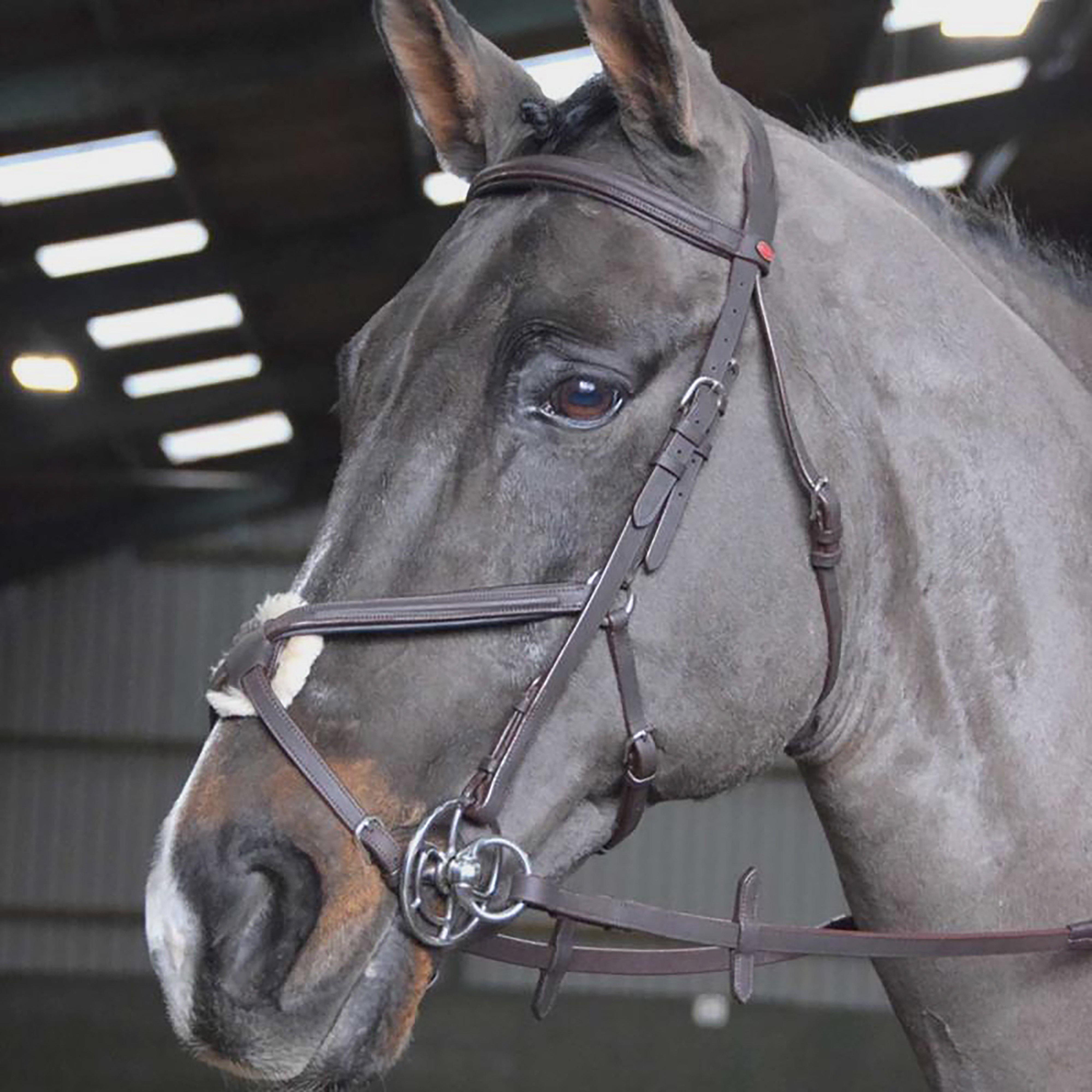 Whitaker Whitaker Ready-To-Ride Mexican Bridle - Black, BLACK