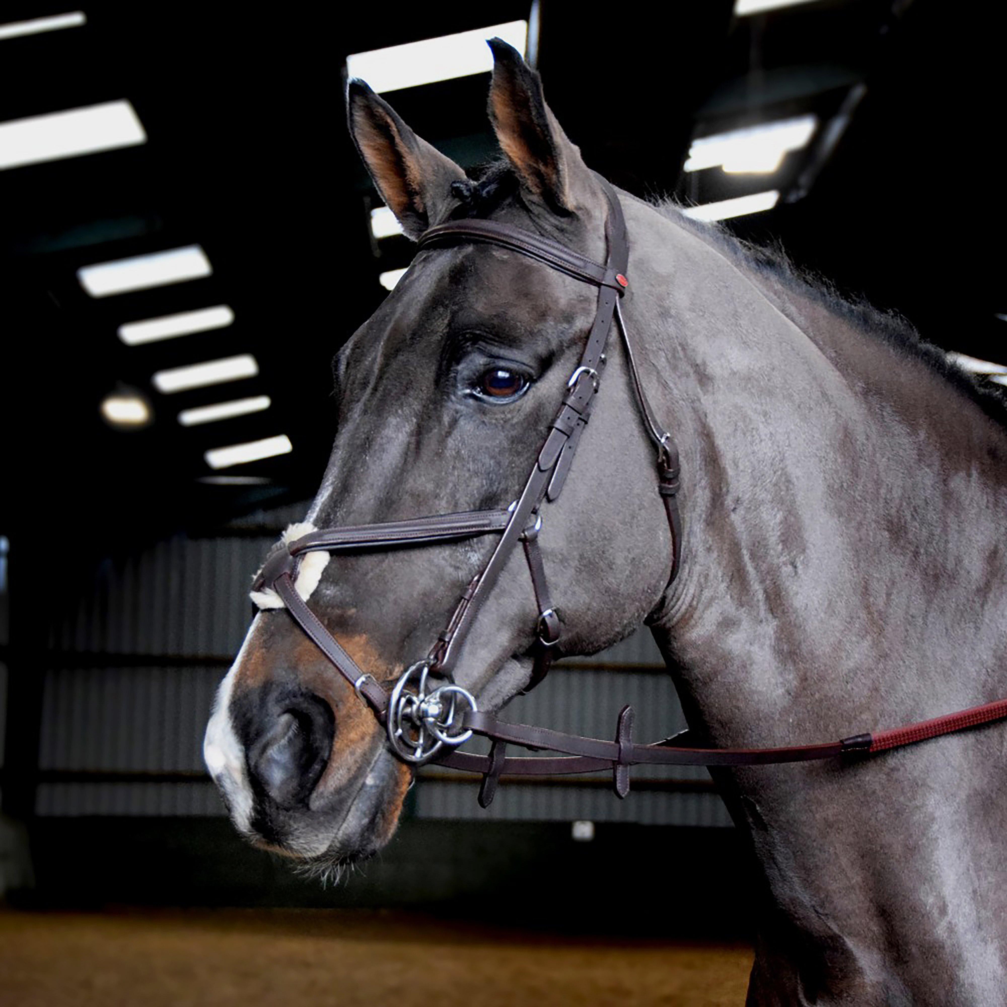 Whitaker Whitaker Ready-To-Ride Mexican Bridle - Brown, BROWN Whitaker Whitaker Ready-To-Ride Mexican Bridle - Brown, BROWN