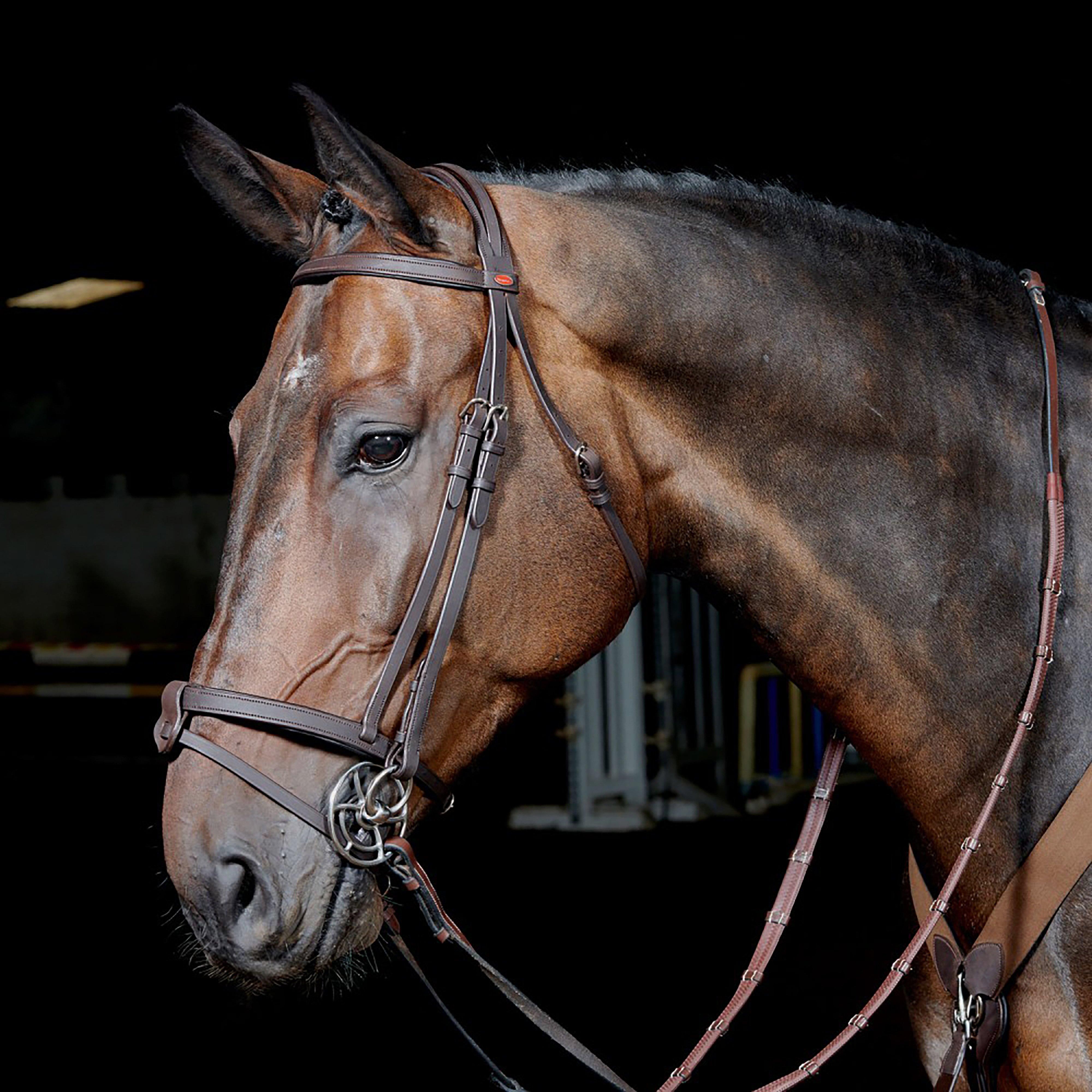 Whitaker Whitaker Ready-To-Ride Snaffle Flash Bridle - Brown, BROWN Whitaker Whitaker Ready-To-Ride Snaffle Flash Bridle - Brown, BROWN