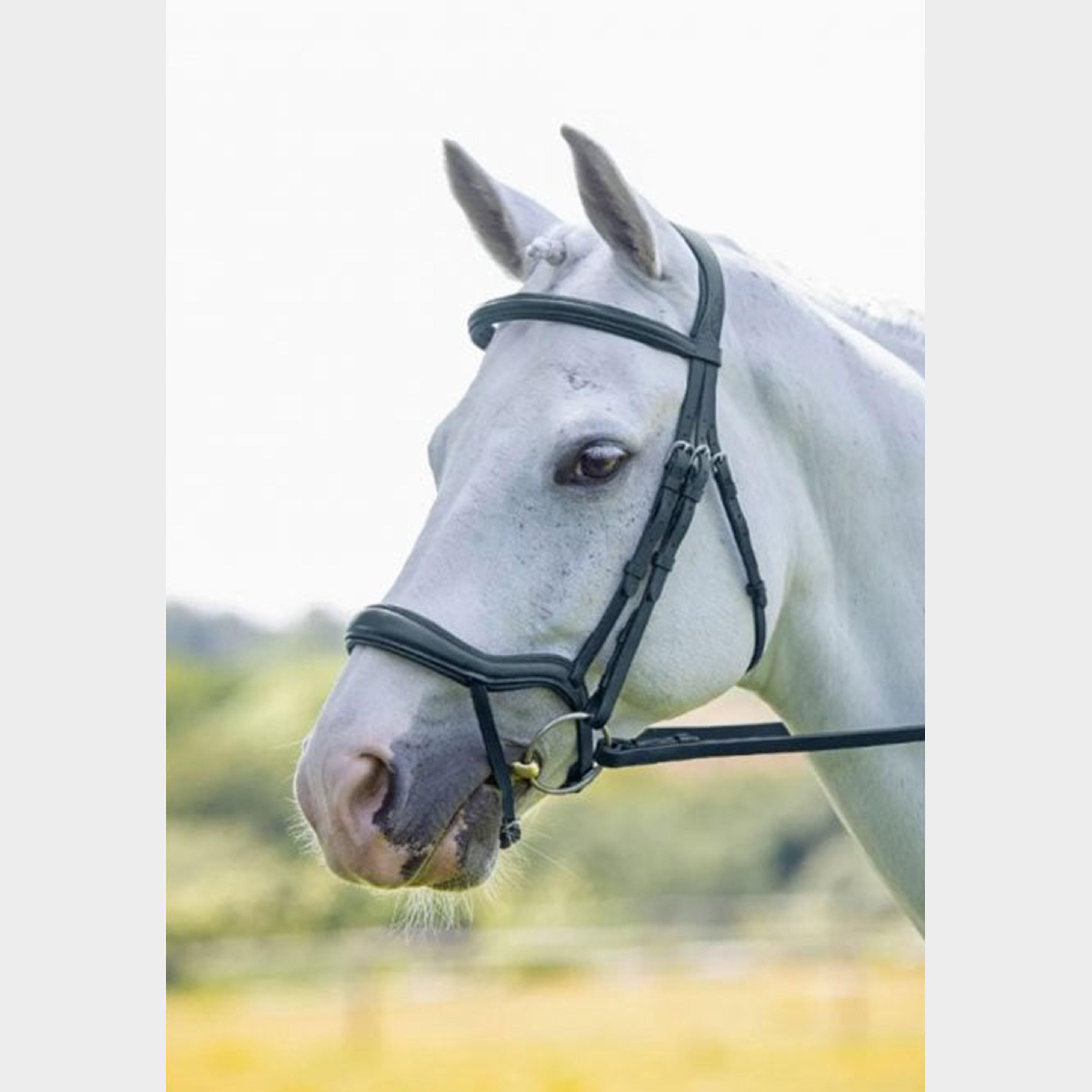 Image of Velociti Ergonomic Flash Bridle Black - Brdle, BRDLE