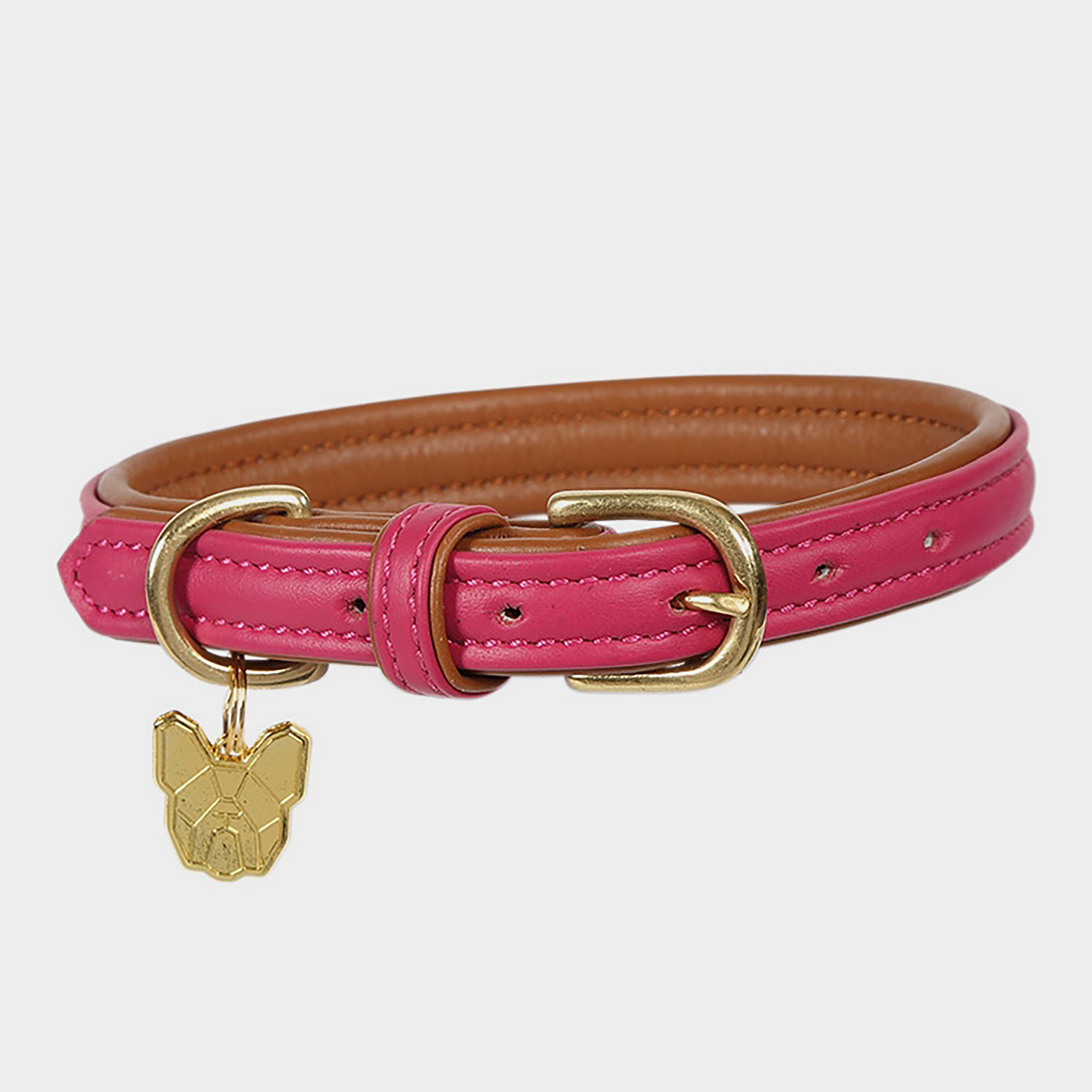 Photos - Collar / Harnesses COLLAR Padded Leather Dog , Pink 