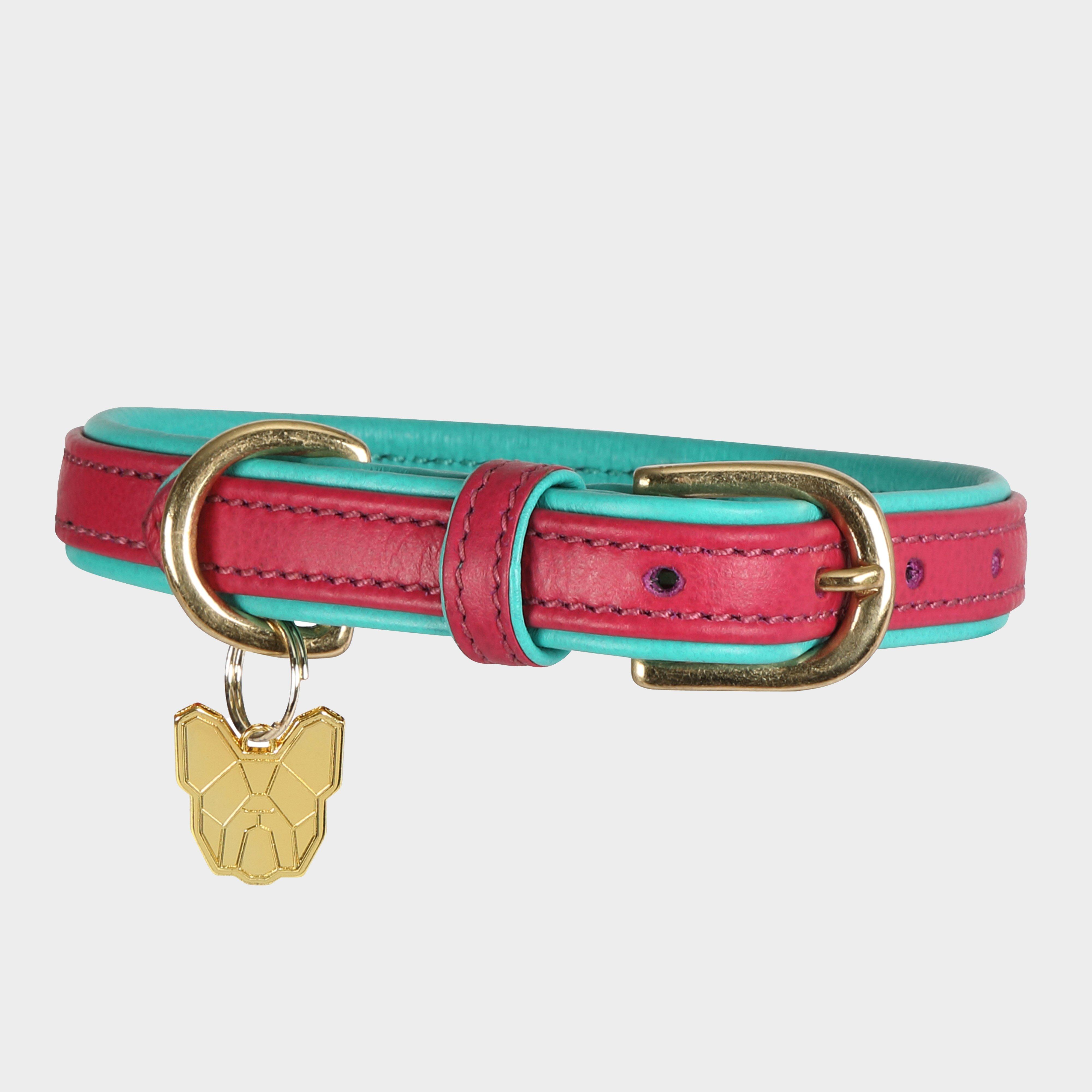 Photos - Collar / Harnesses COLLAR Padded Leather Dog  - Pink, Pink 
