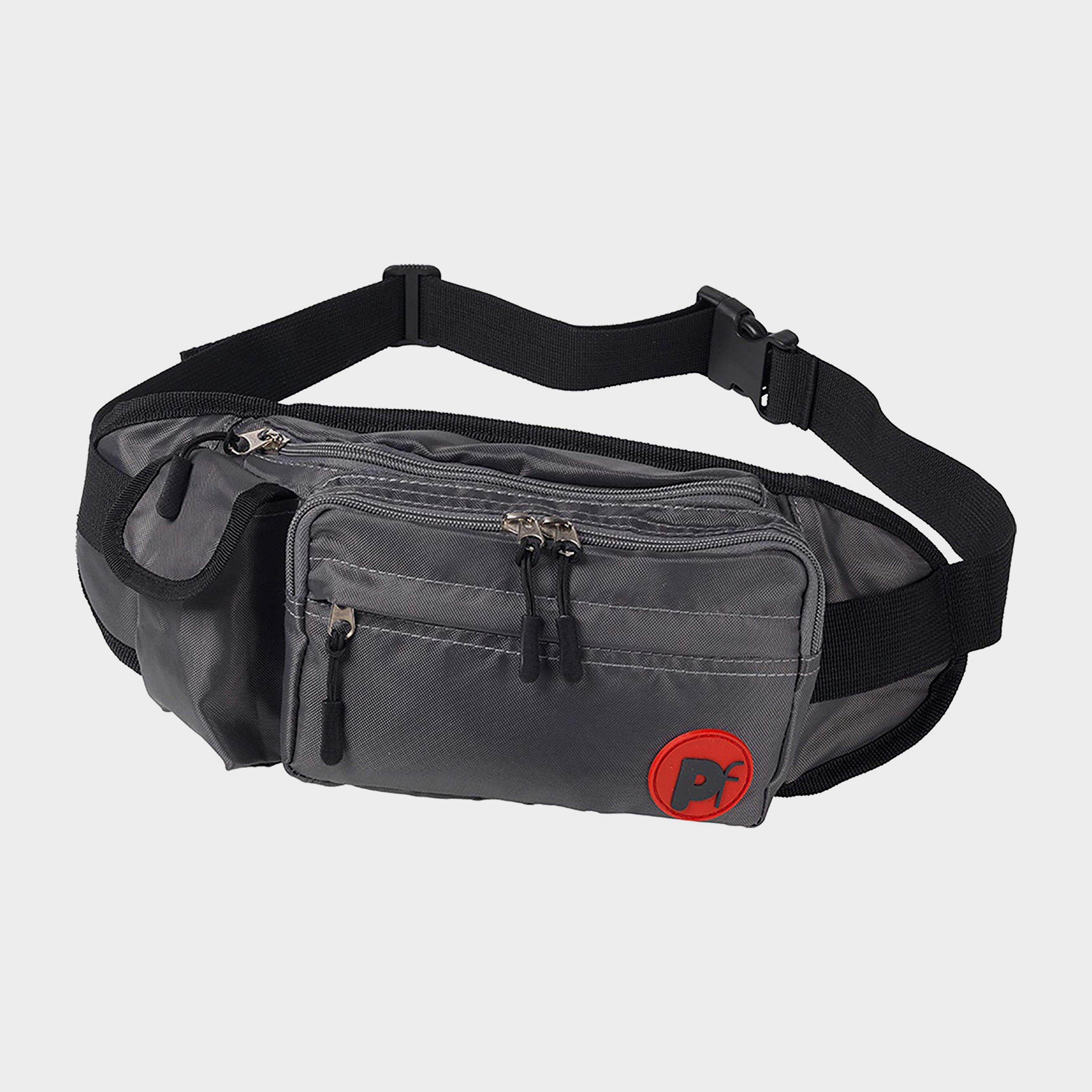 Image of Petface Dog Walk Bum Bag - Grey, Grey