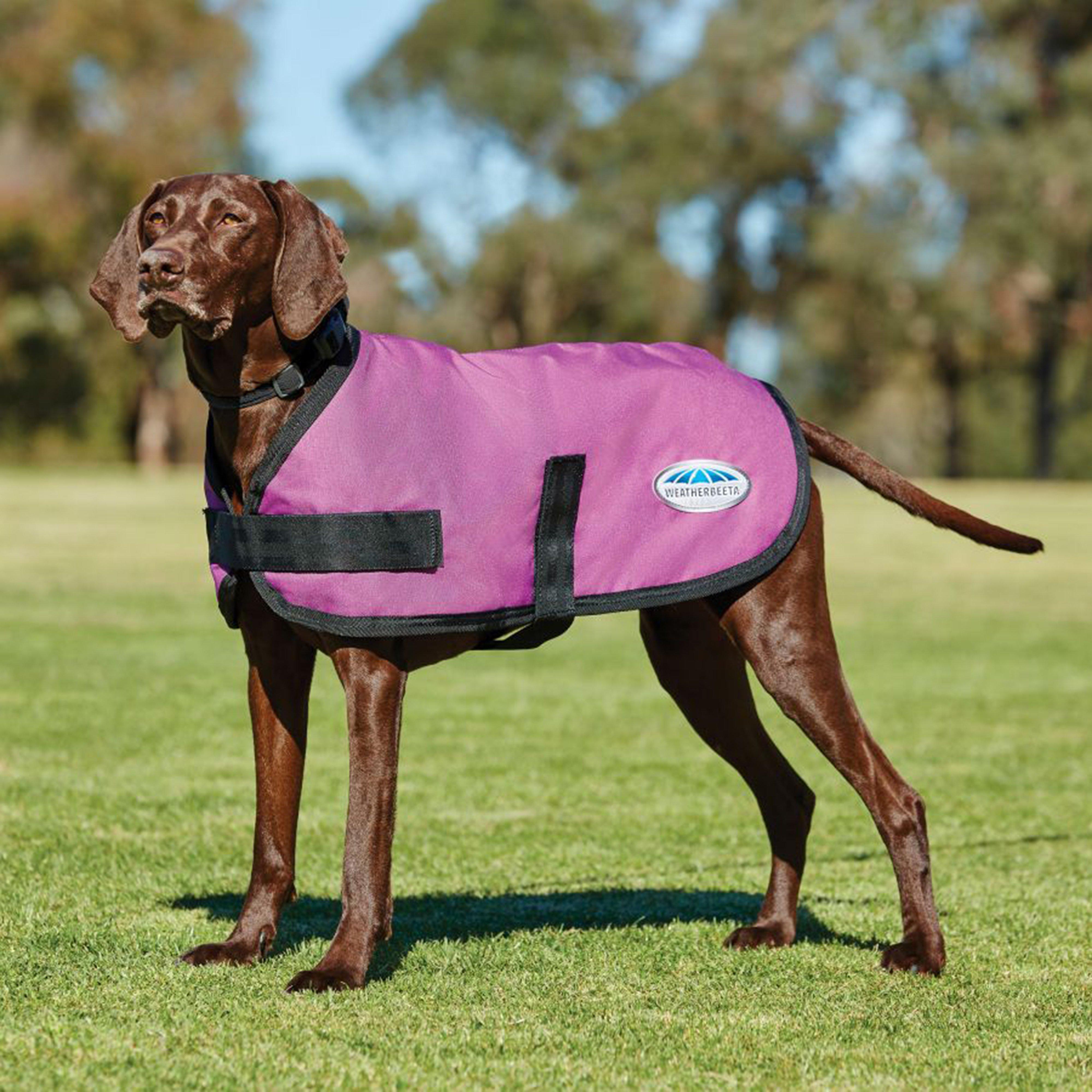 Photos - Dog Clothing Classic Comfitec  Dog Coat - Pink, Pink 