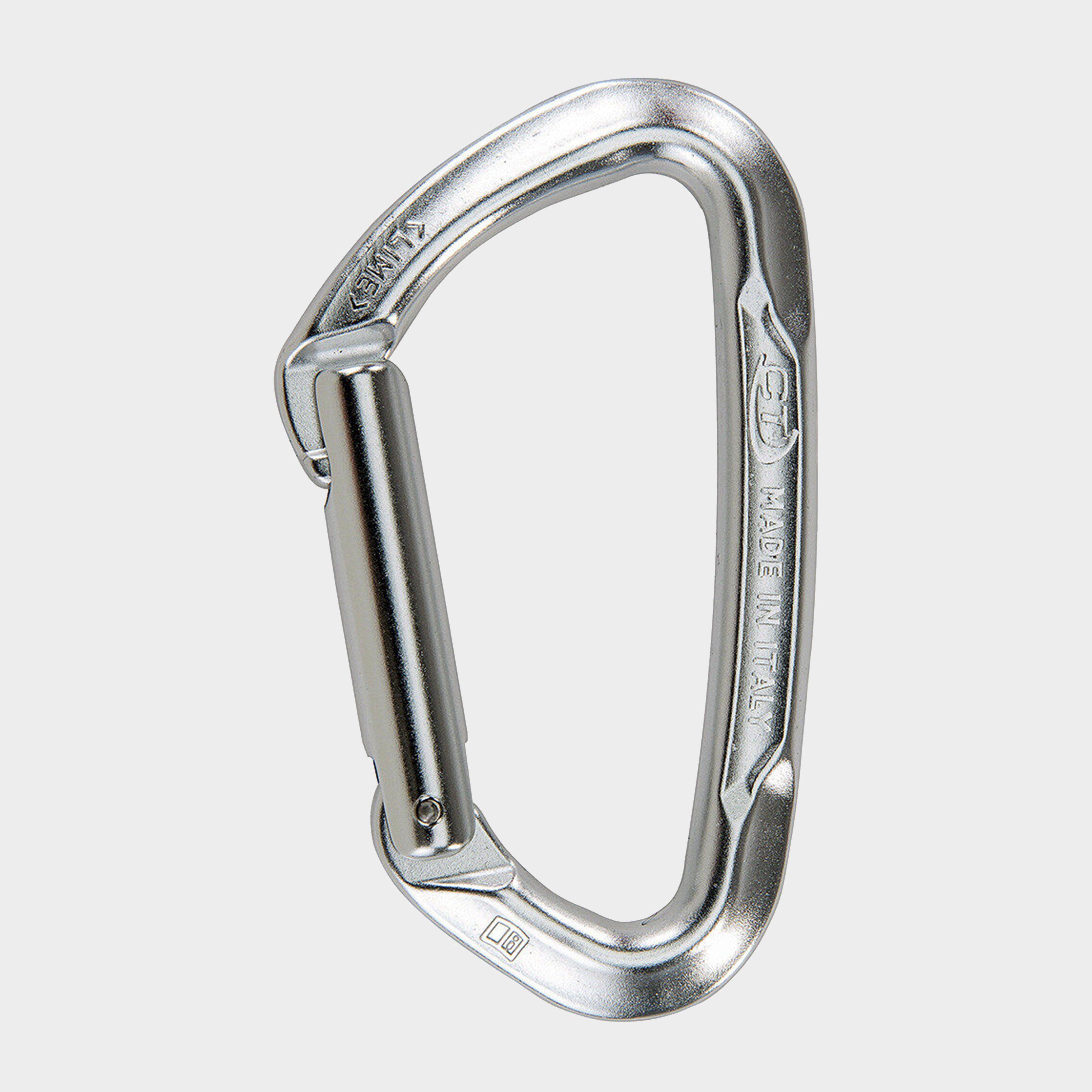 Photos - Climbing Gear Lime Straight Gate Carabiner - Silver, Silver 