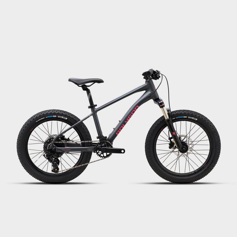 Millets Polygon Xtrada 20 Mountain Bike -