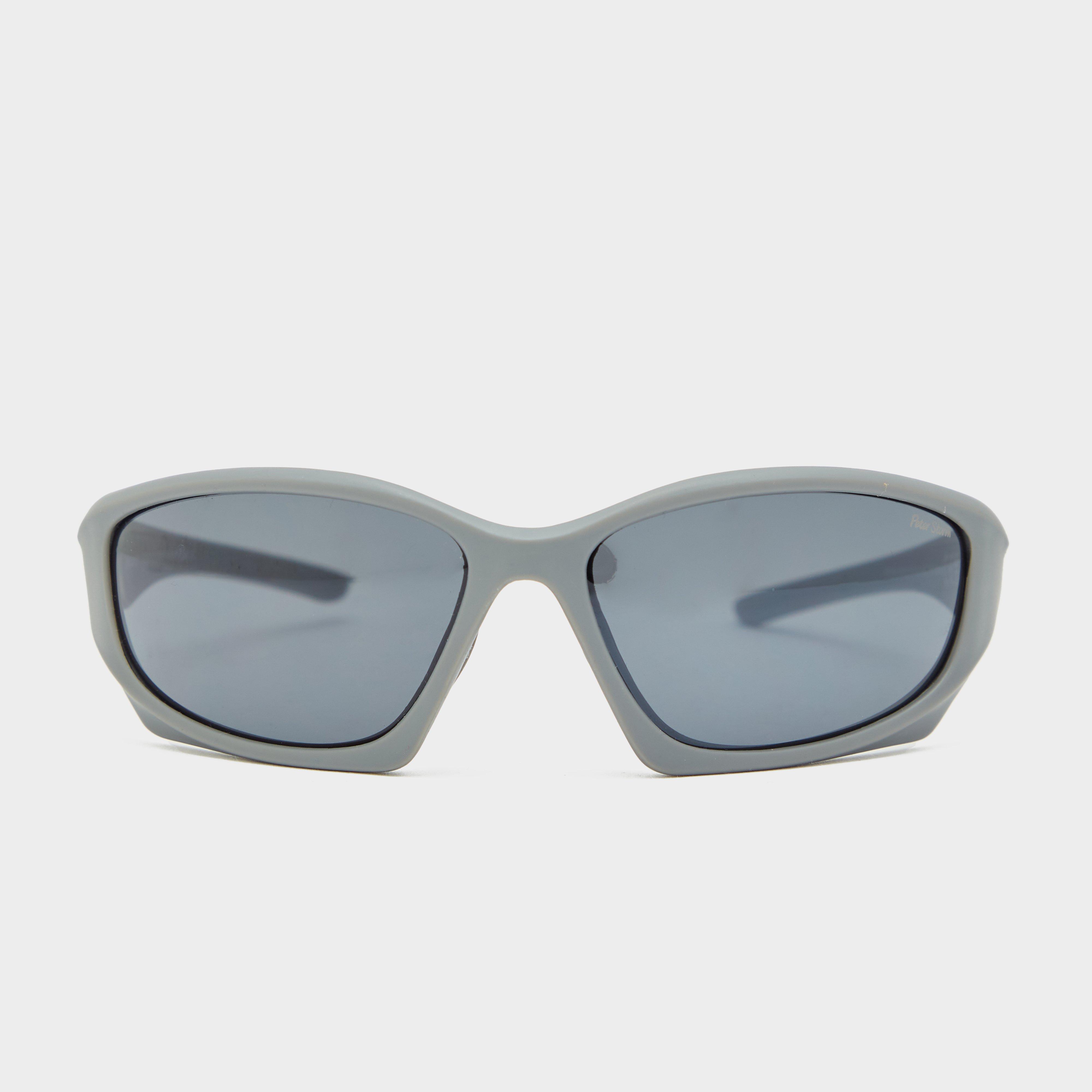 Image of Peter Storm Weymouth Sunglasses - Dgy/Dgy, DGY/DGY