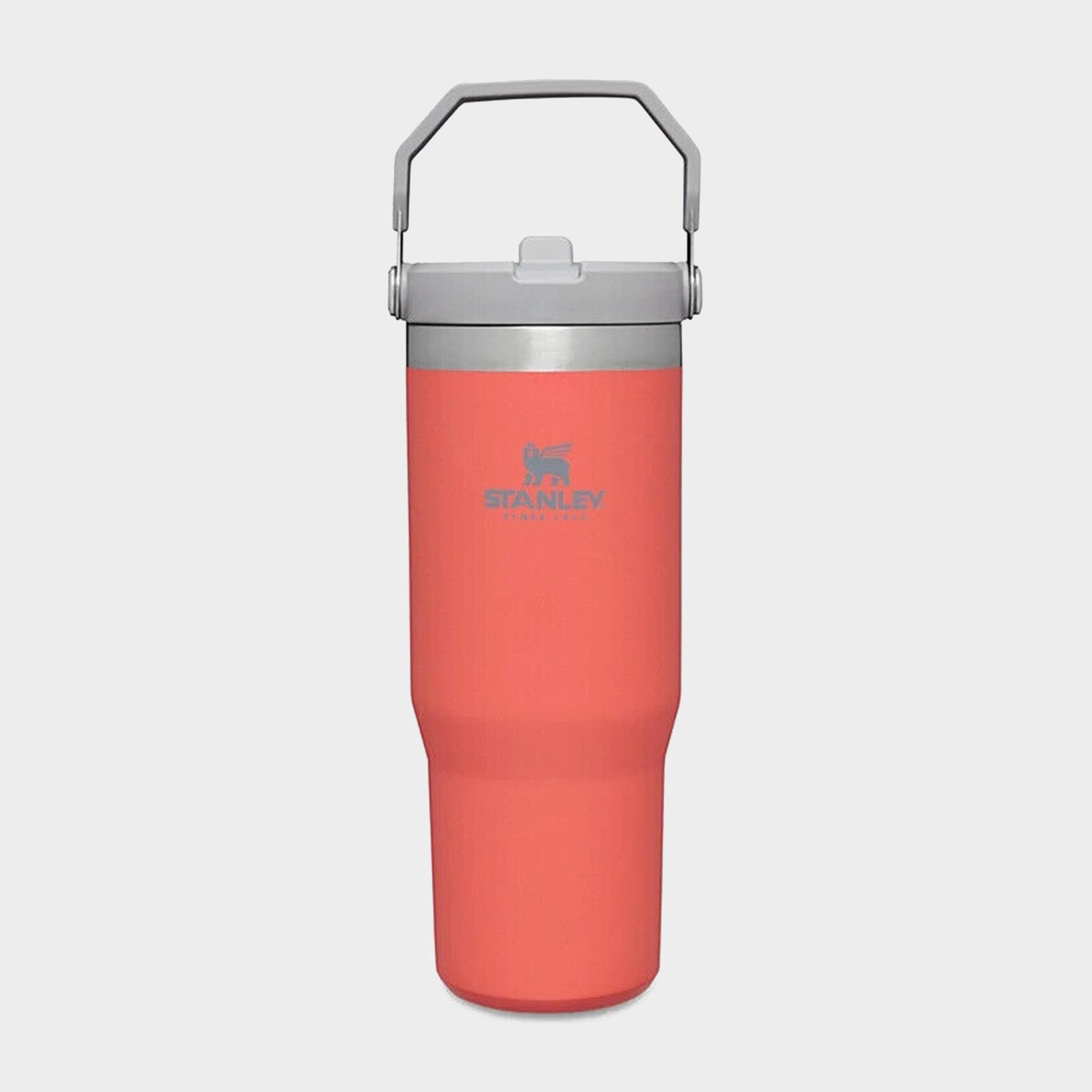 Image of Stanley Iceflow™ Flip Straw Tumbler 0.89L