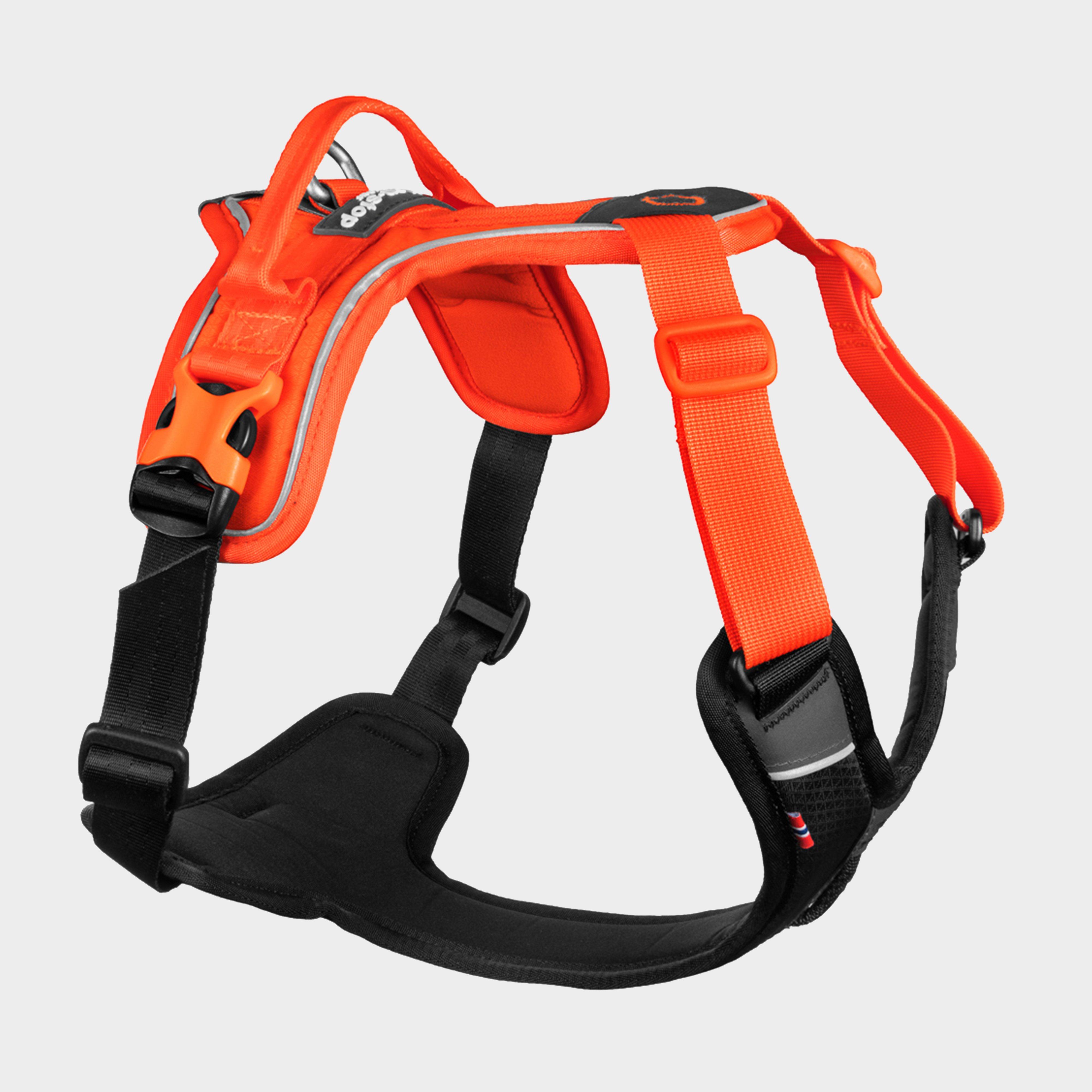 Photos - Collar / Harnesses Ramble Harness, Black/Orange