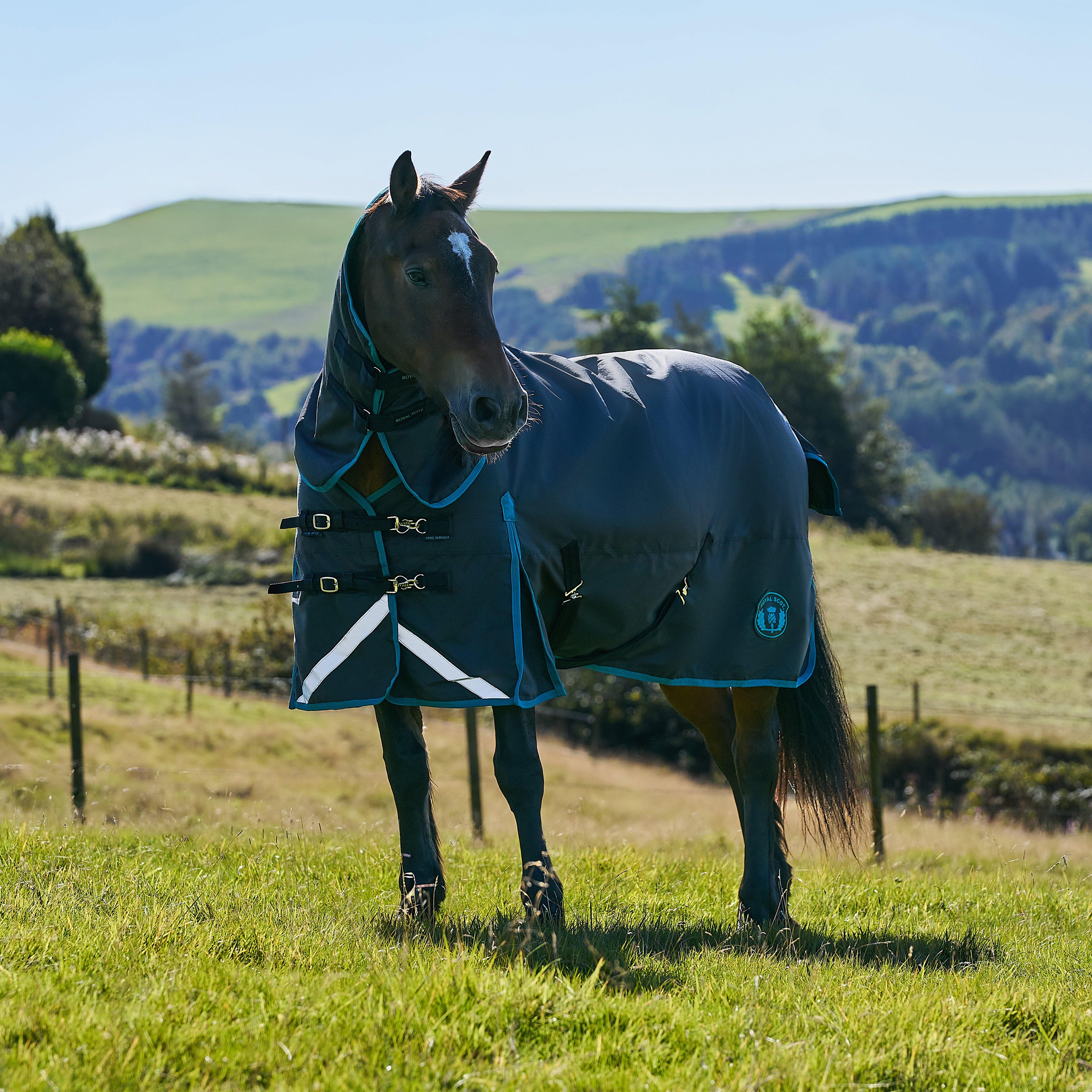 Image of Royal Scot Original 200G Light-Medium Combo Neck Turnout Rug - Black/Ocean, Black/Ocean