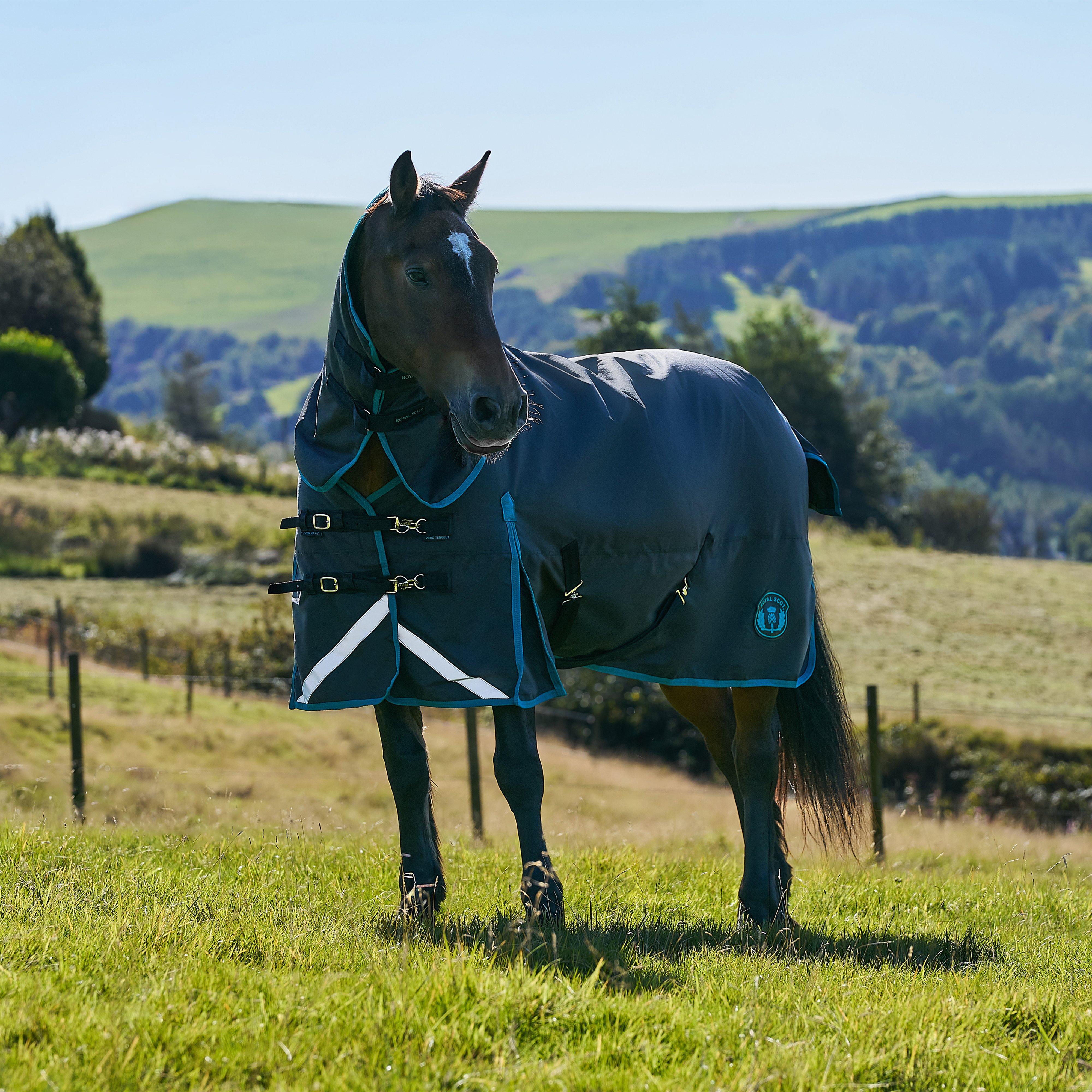 Image of Royal Scot Original 200G Light-Medium Combo Neck Turnout Rug - Blkoc, BLKOC