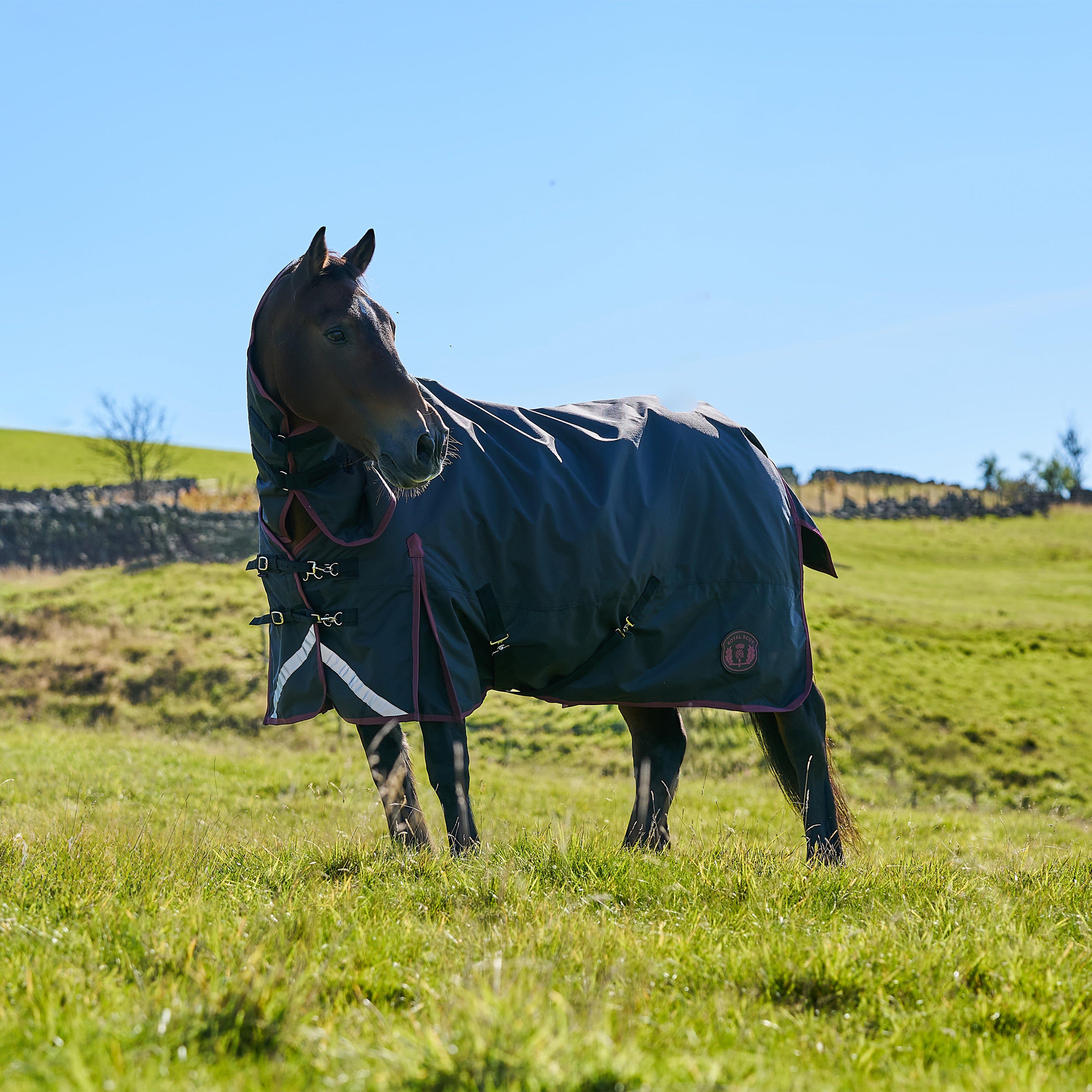 Image of Royal Scot Original 100G Light-Medium Weight Combo Neck Turnout Rug Black/Wine - Blkwi, BLKWI