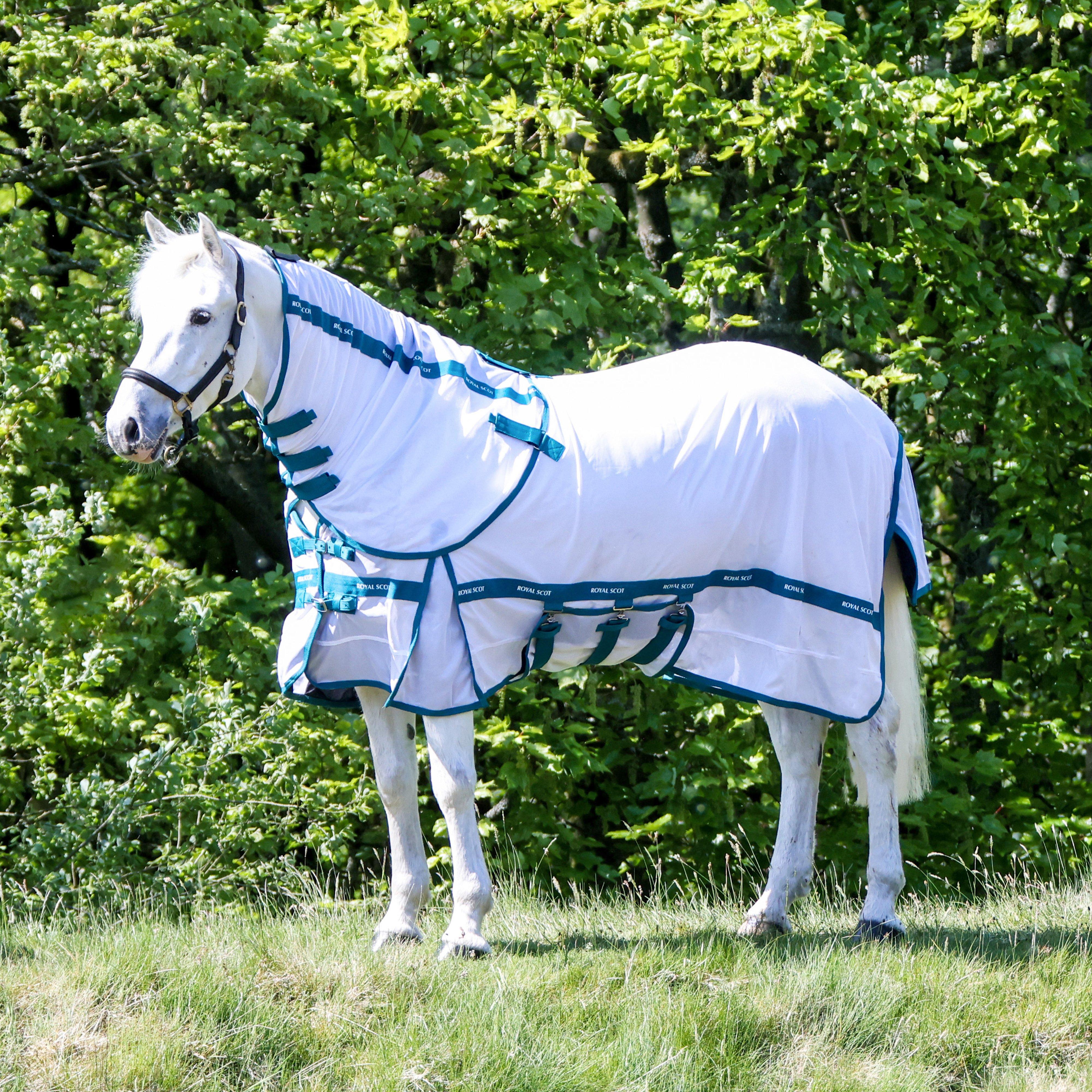 Image of Royal Scot Original Fly Rug - White/Ocean, White/Ocean