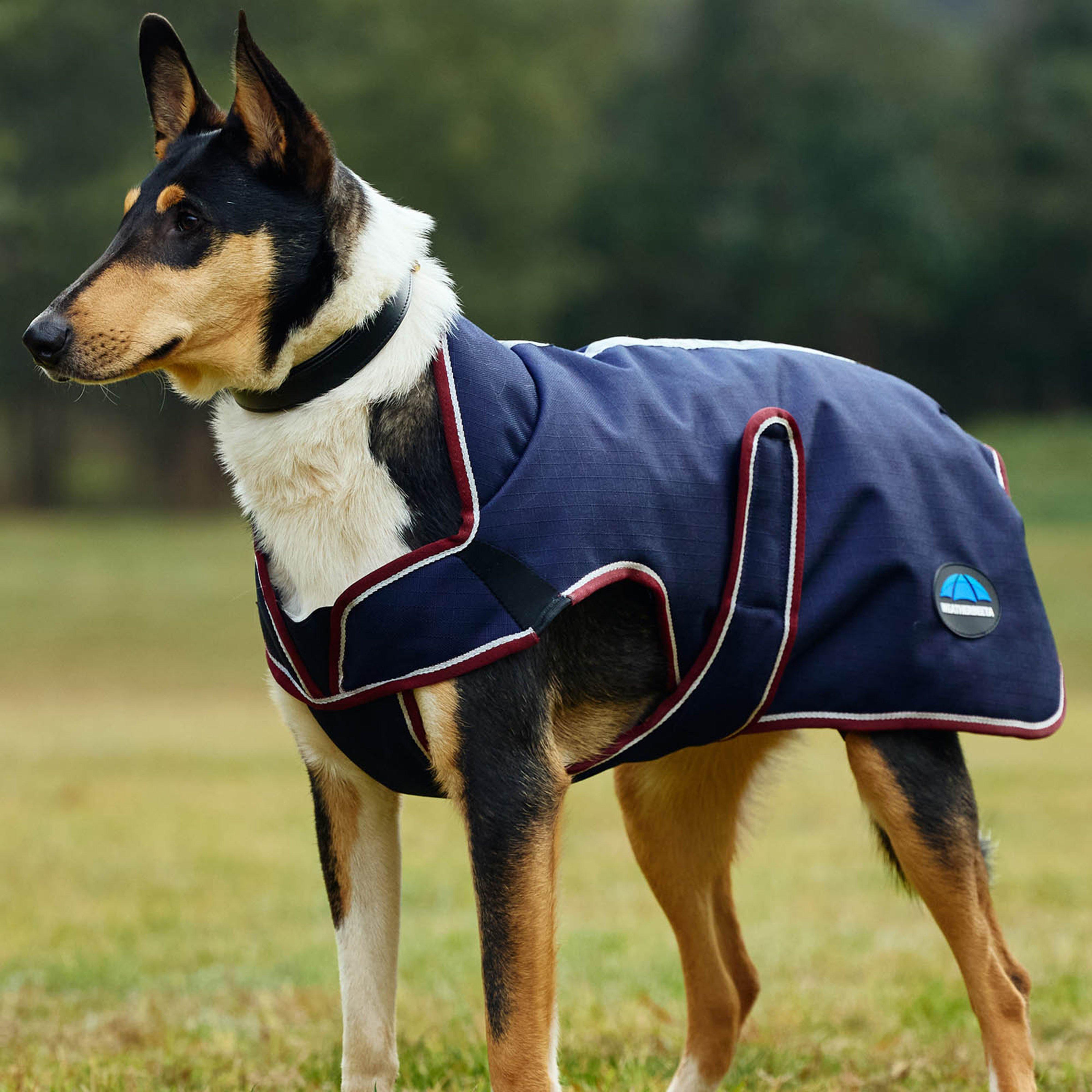Image of Weatherbeeta Comfitec Premier Deluxe Waterproof Dog Coat - Navy, Navy
