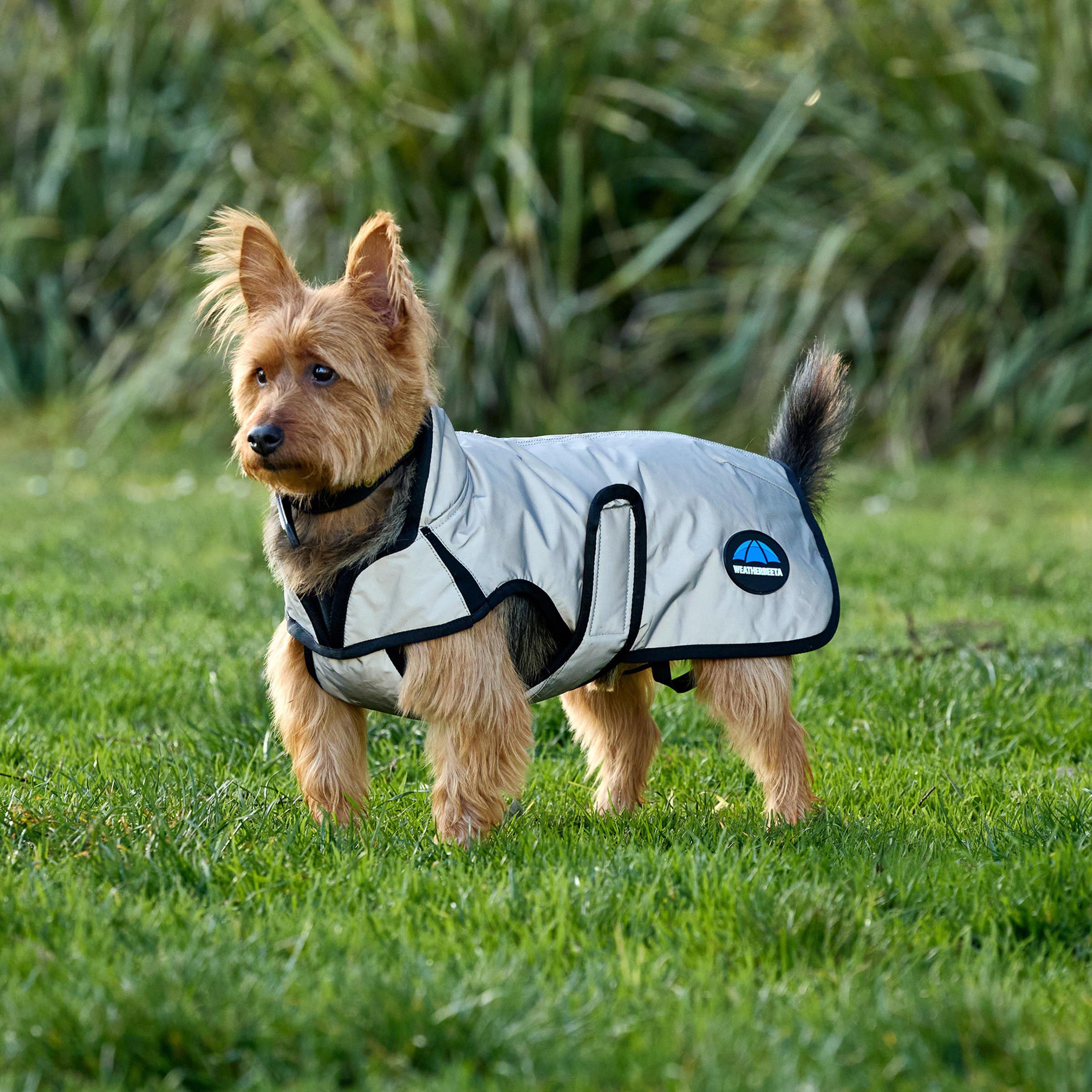 Image of Weatherbeeta Comfitec Classic Waterproof Dog Coat - Silver, Silver