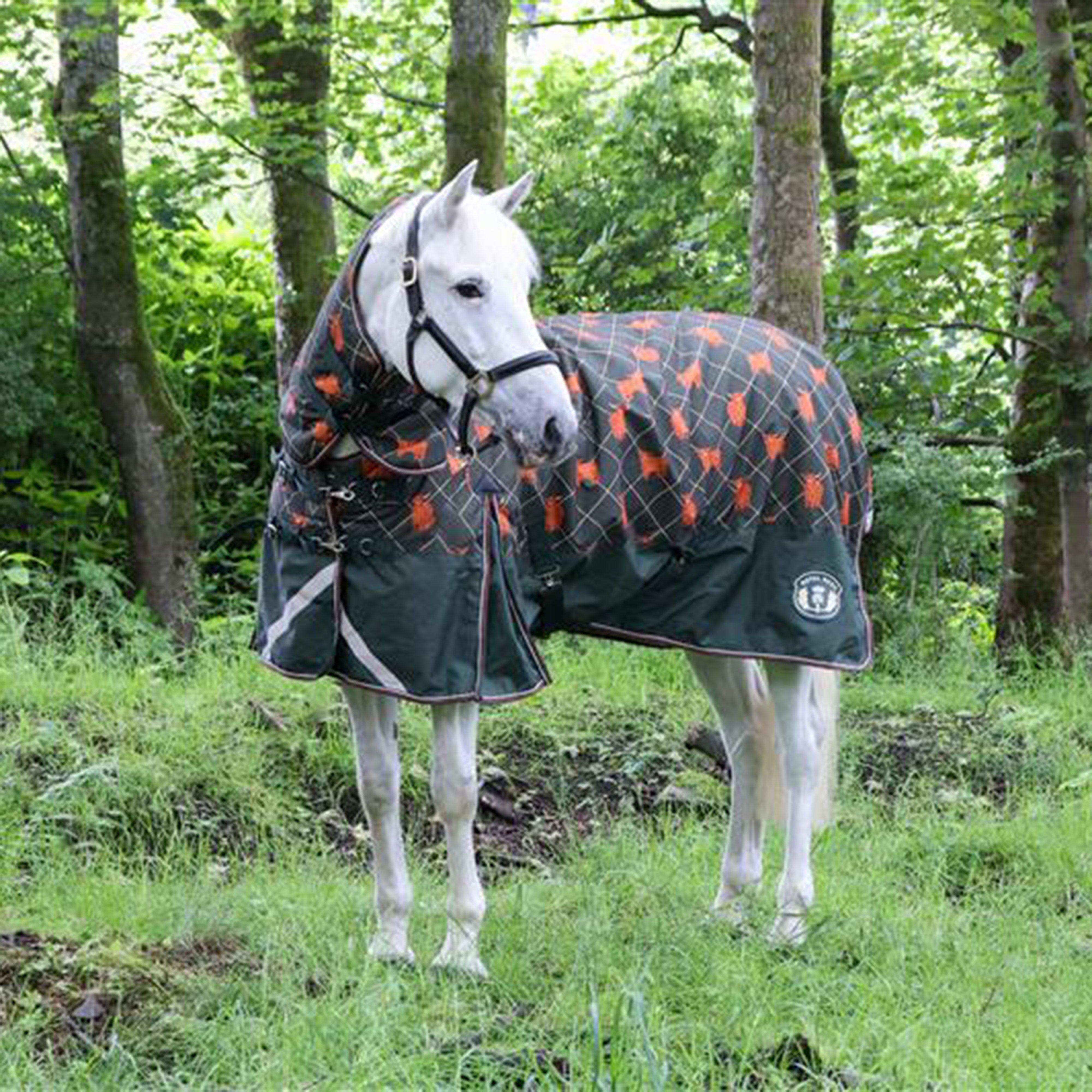 Image of Royal Scot Original 200G Light-Medium Combo Neck Turnout Rug - Olive, Olive