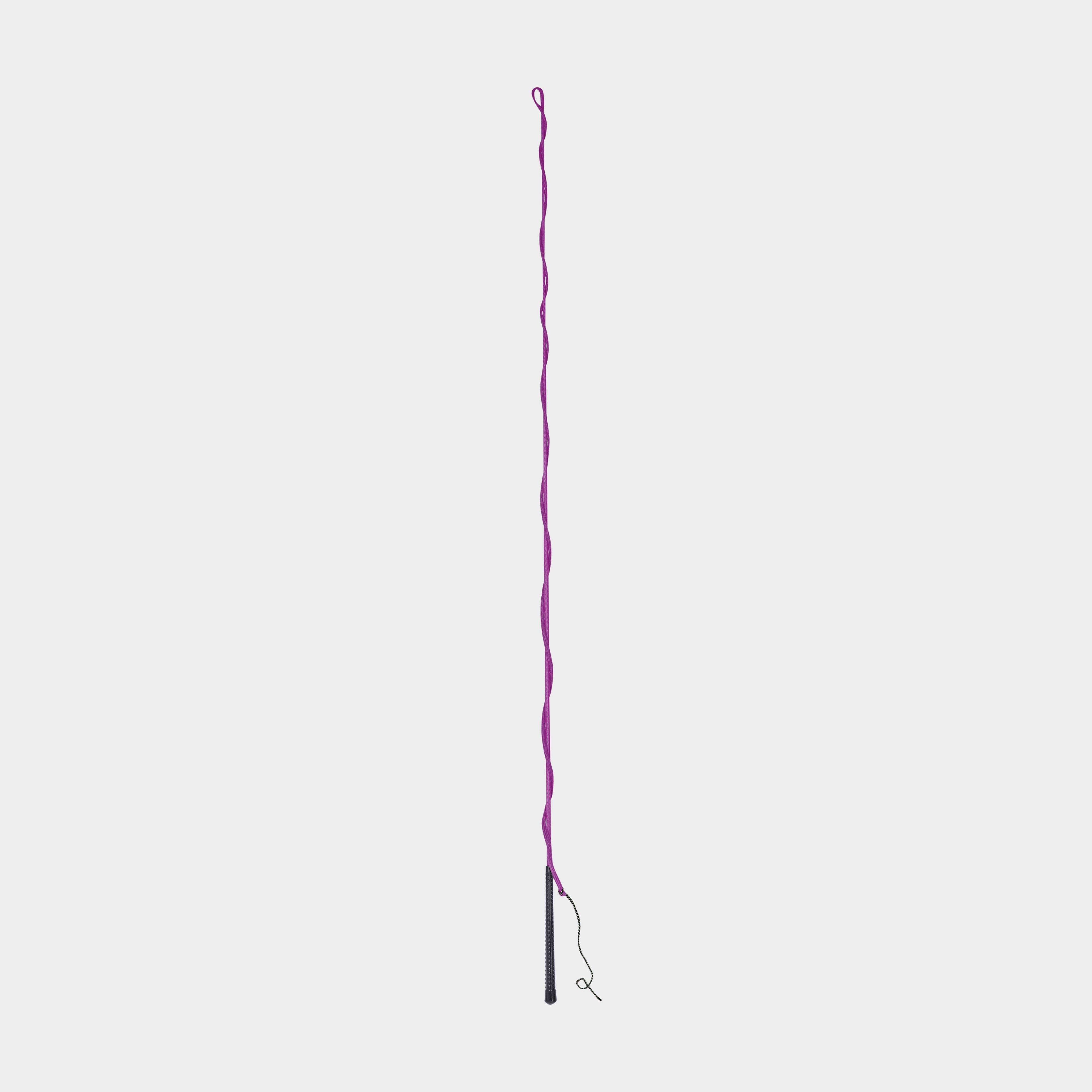 Image of Dublin Brights Lunge Whip - Purple, Purple