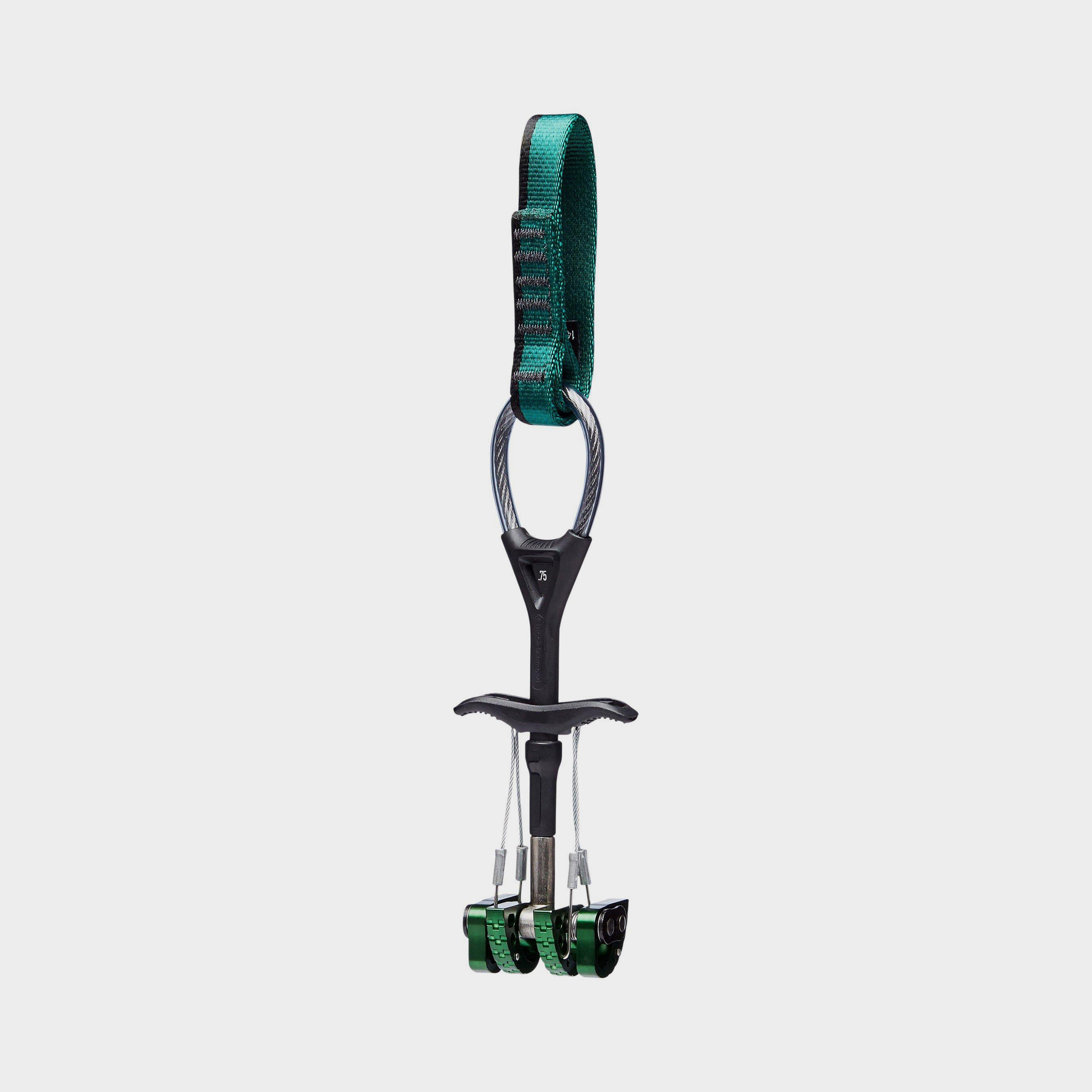Image of Black Diamond Camalot C4 (Size 0.75), Green