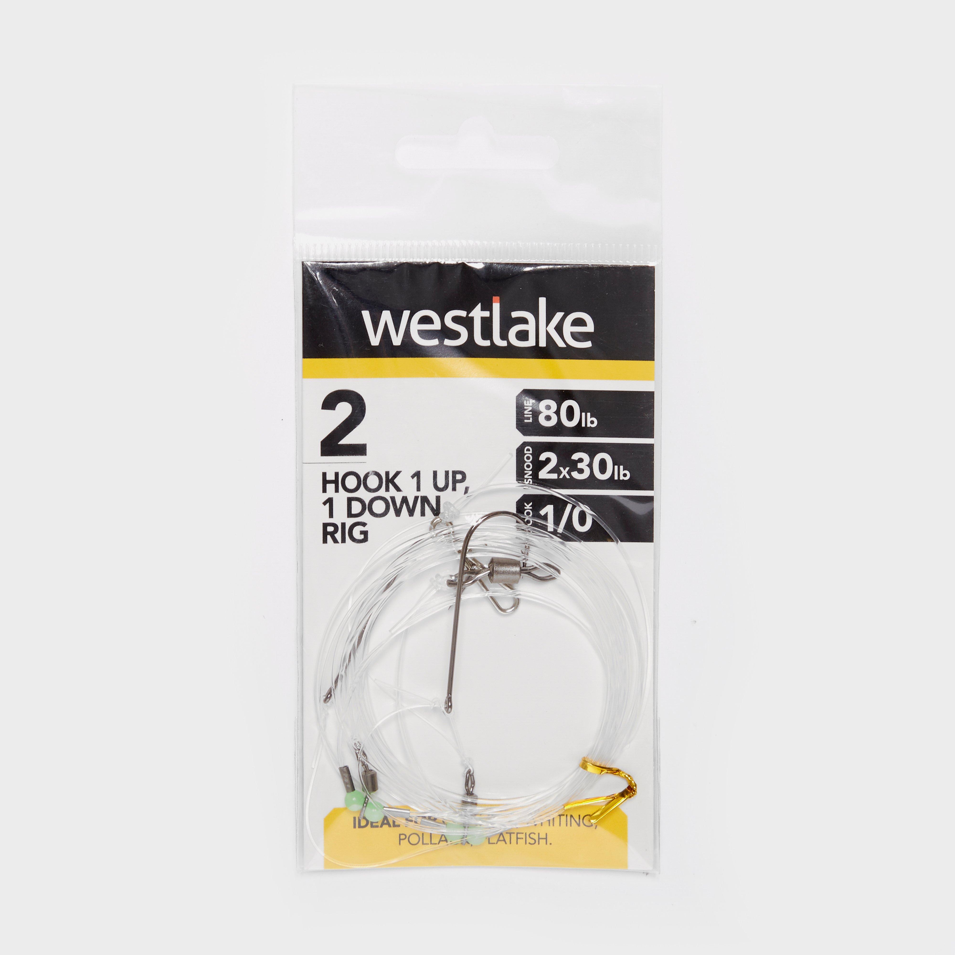 Image of Westlake 2 Hook 1Up 1Down Rig 1/0, Multi Coloured