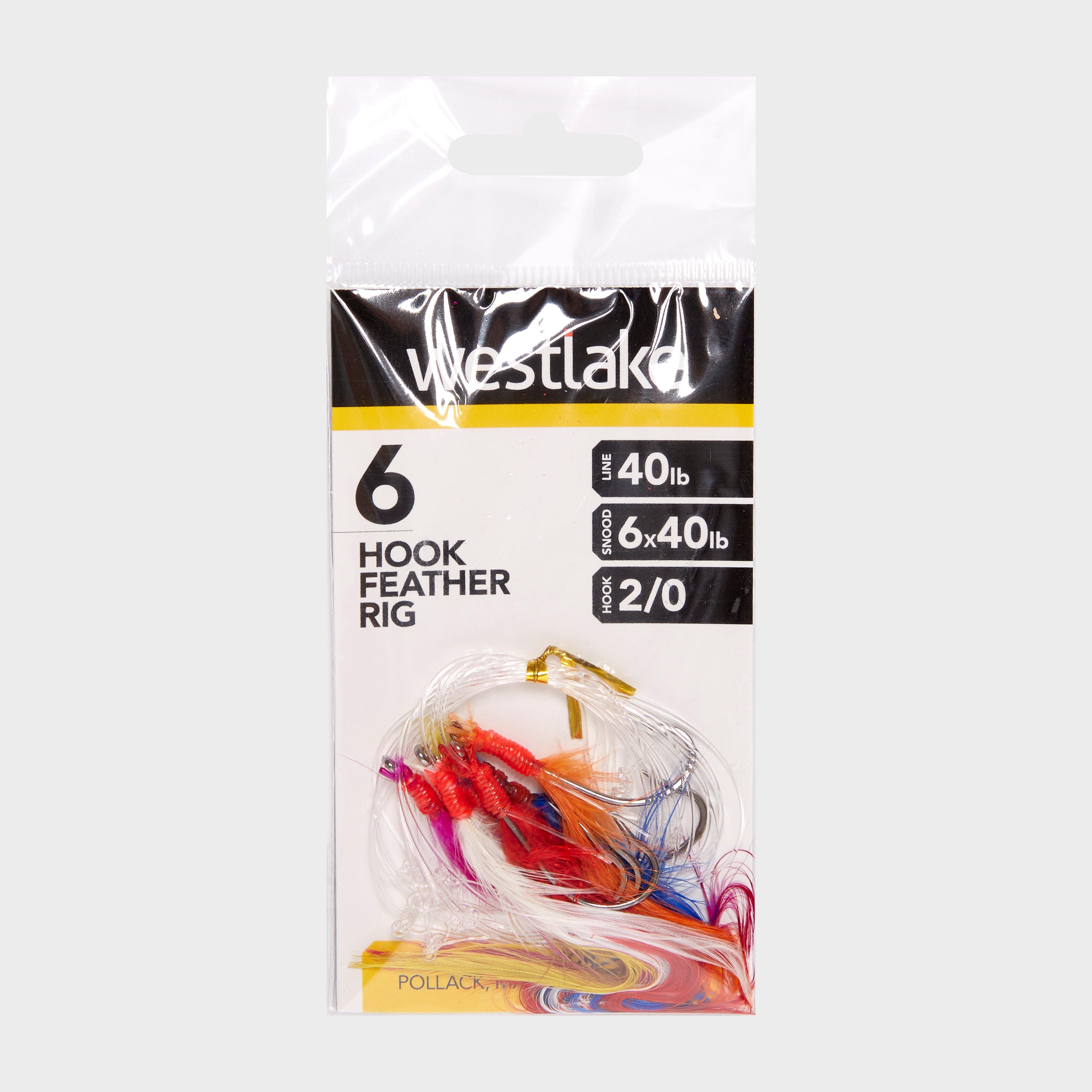 Image of Westlake 6 Hook Feather Rig 2/0, Multi Coloured