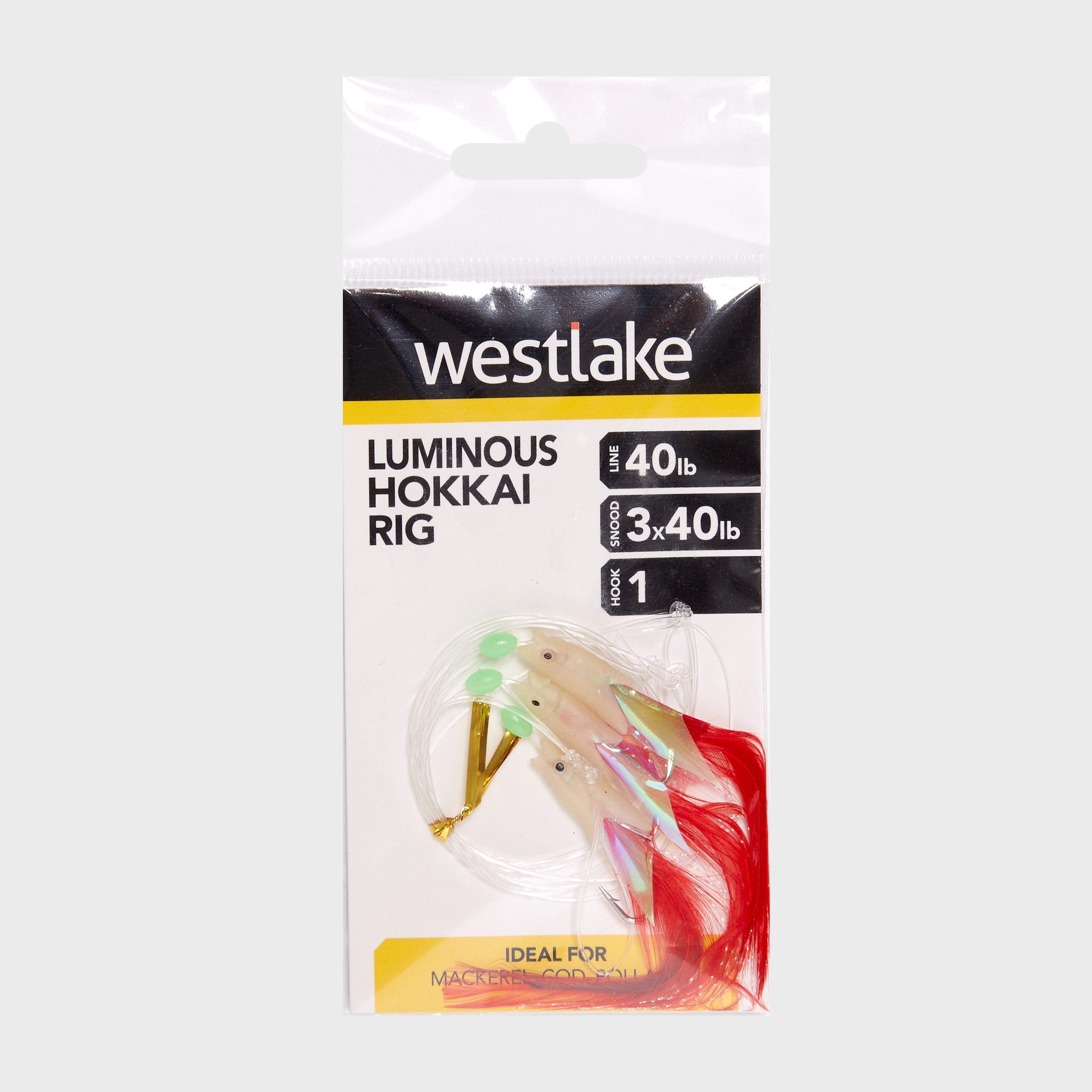 Image of Westlake 3 Hook Luminous Hokkai 1, Multi Coloured
