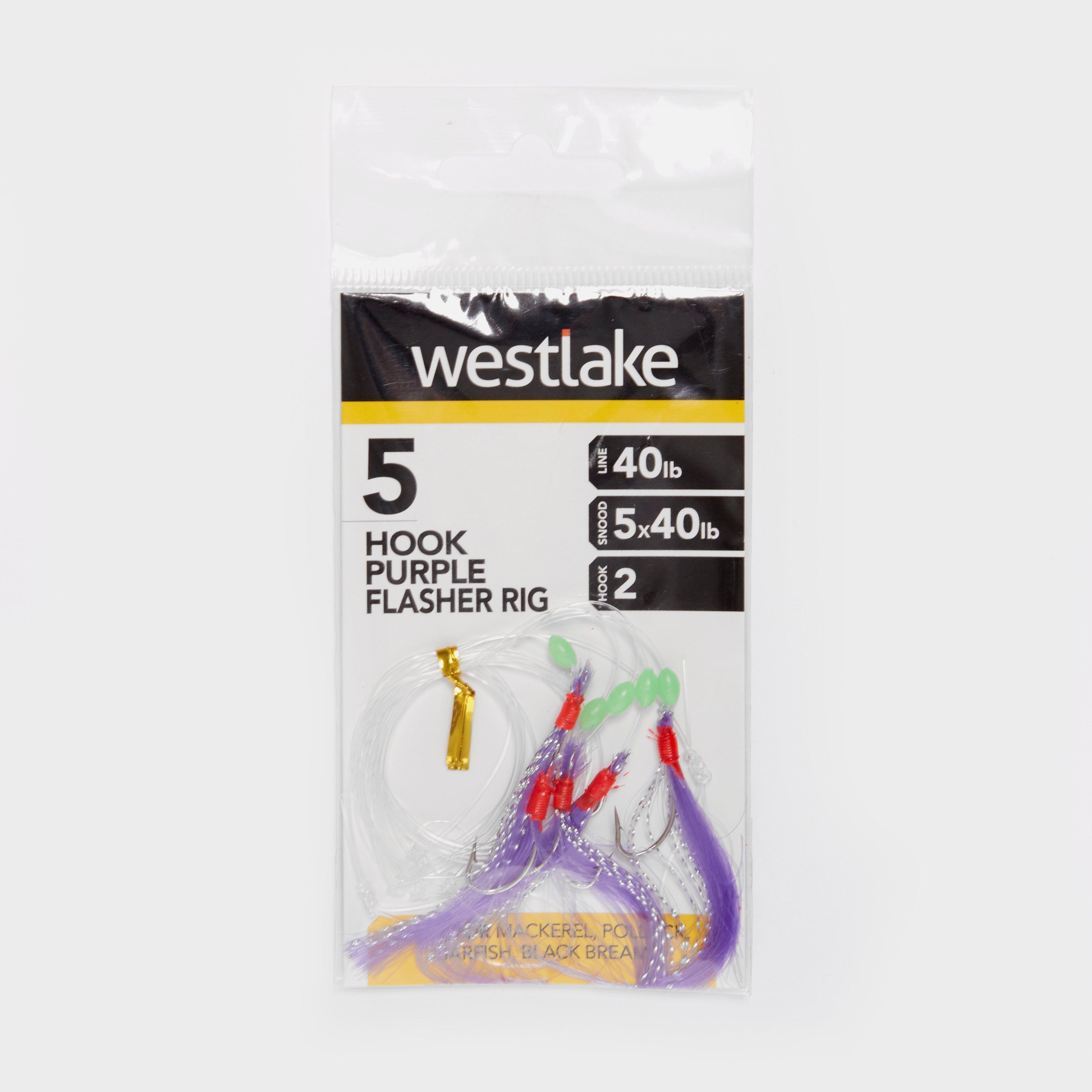Image of Westlake 5 Hook Purple Flasher 2, Multi Coloured