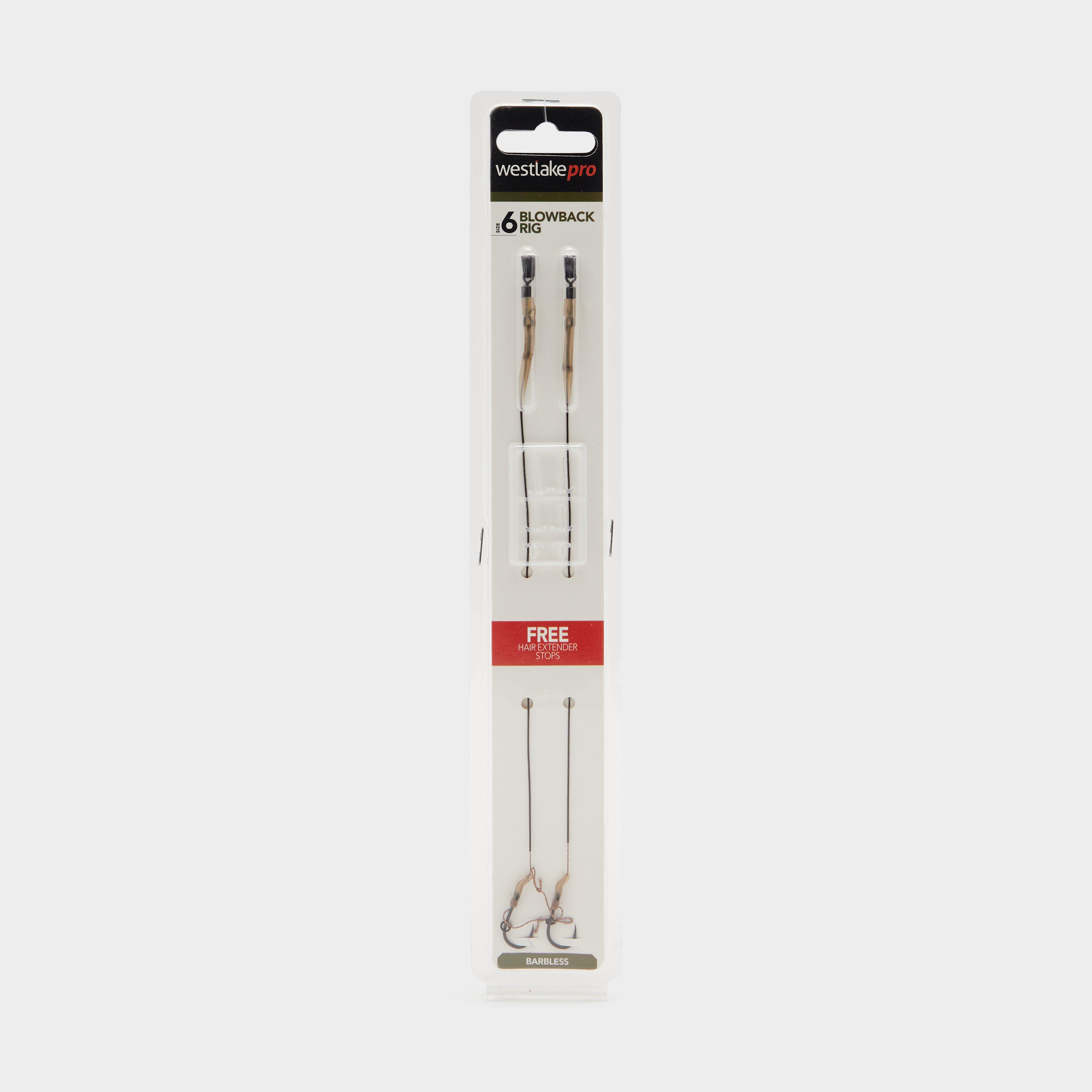 Image of Westlake Blow B Combi Rig 6 To 20Lb Bl, Silver