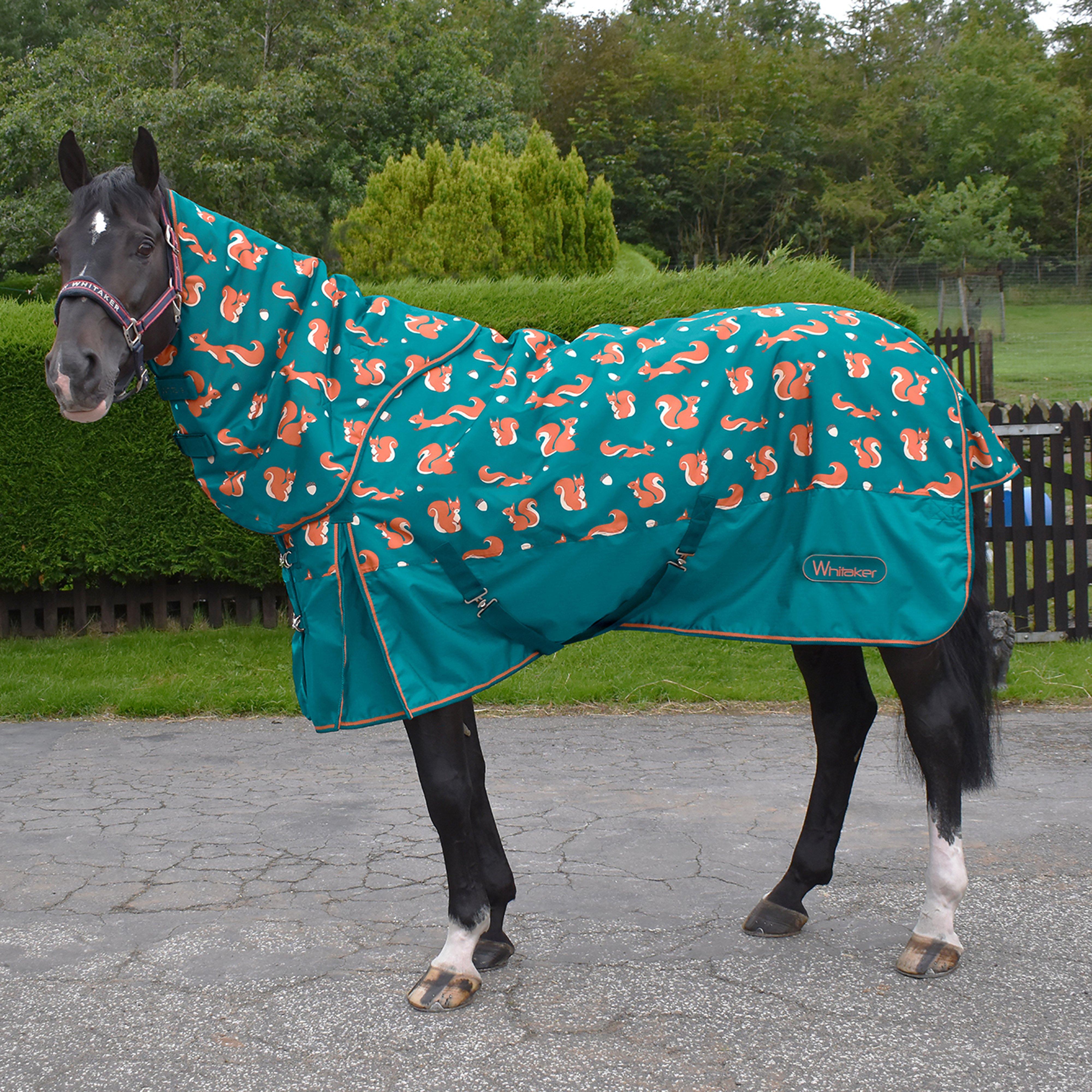  Whitaker Knutsford Squirrel Combo Turnout Rug, Blue