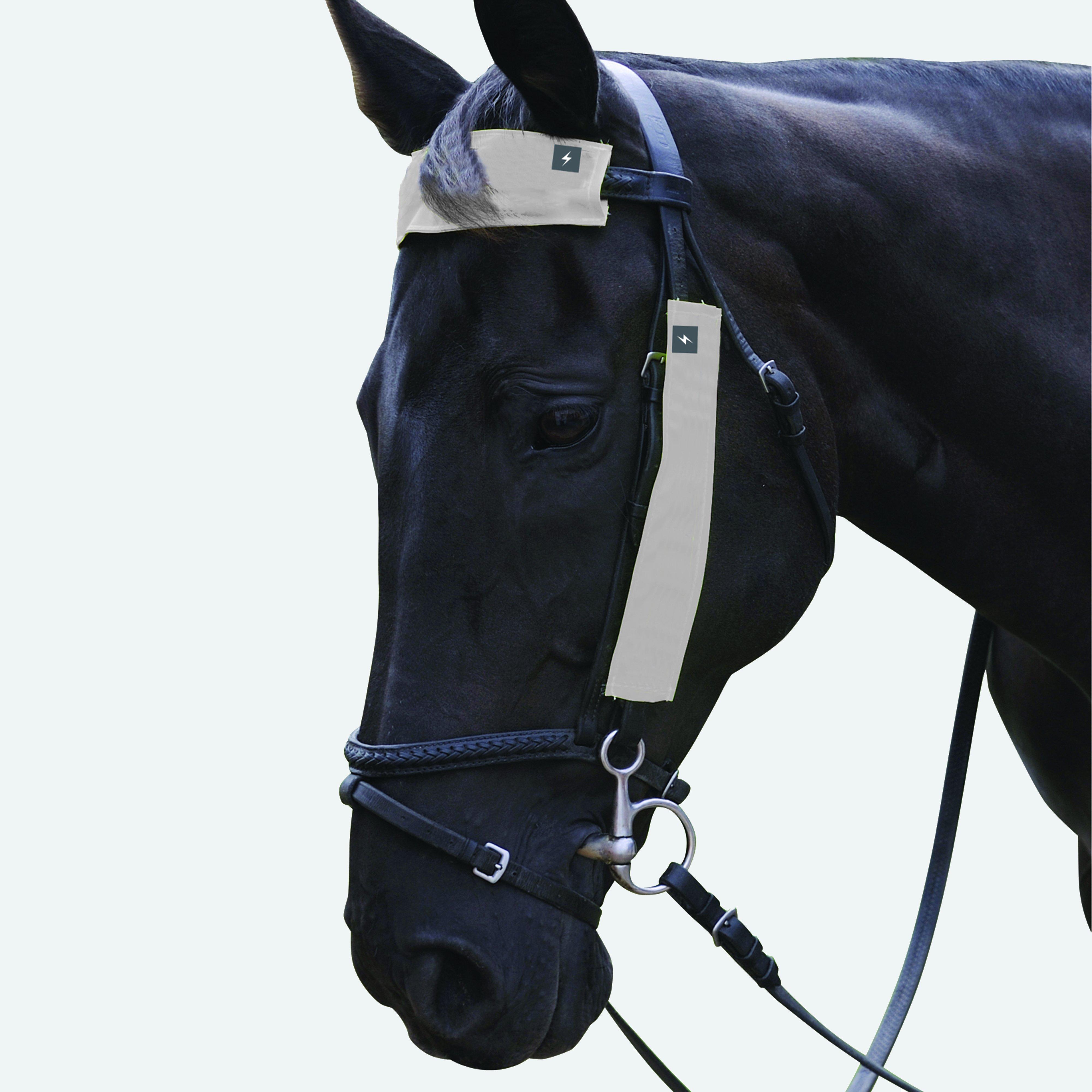 Image of Hy VIS Silva Bridle Set, Silver